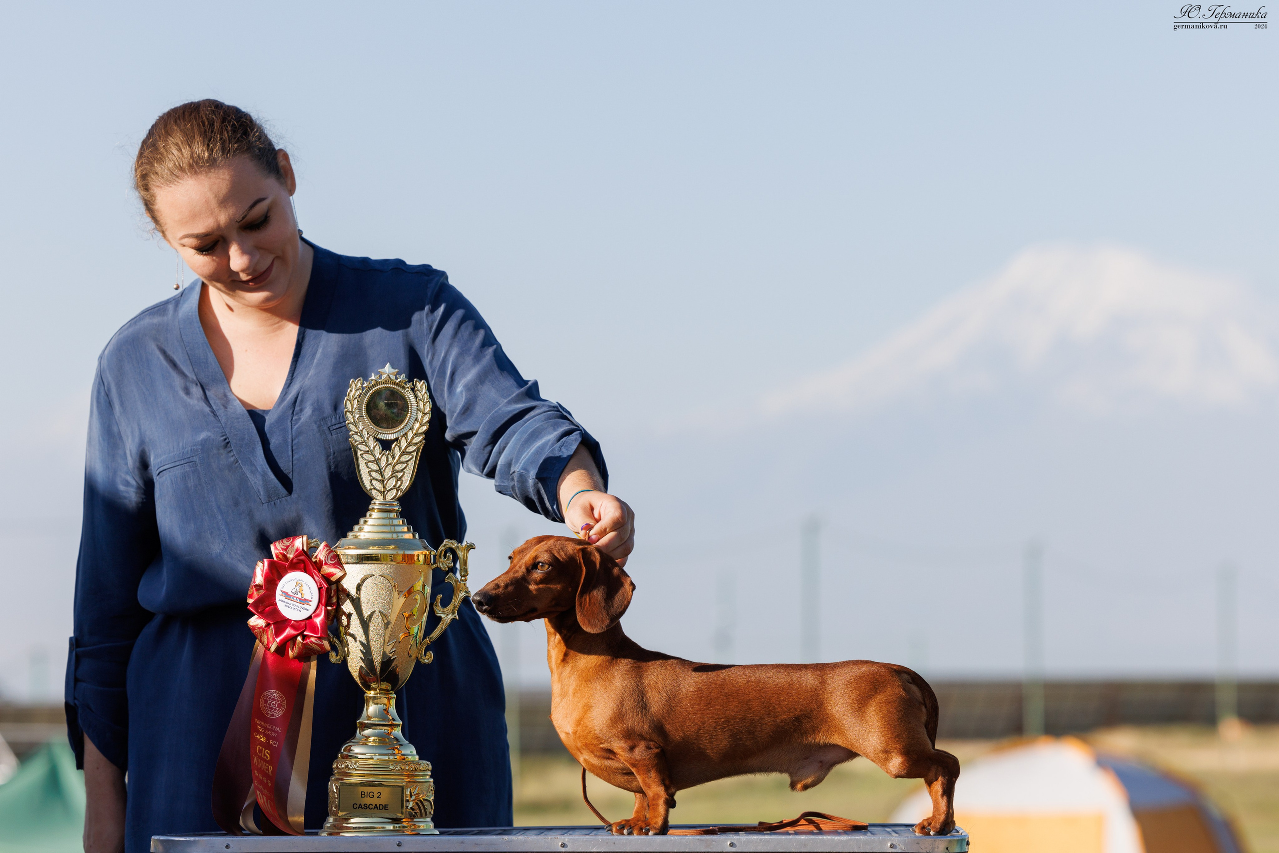 Ереван 3-5.06.2024. Фотограф-анималист Юлия Германика