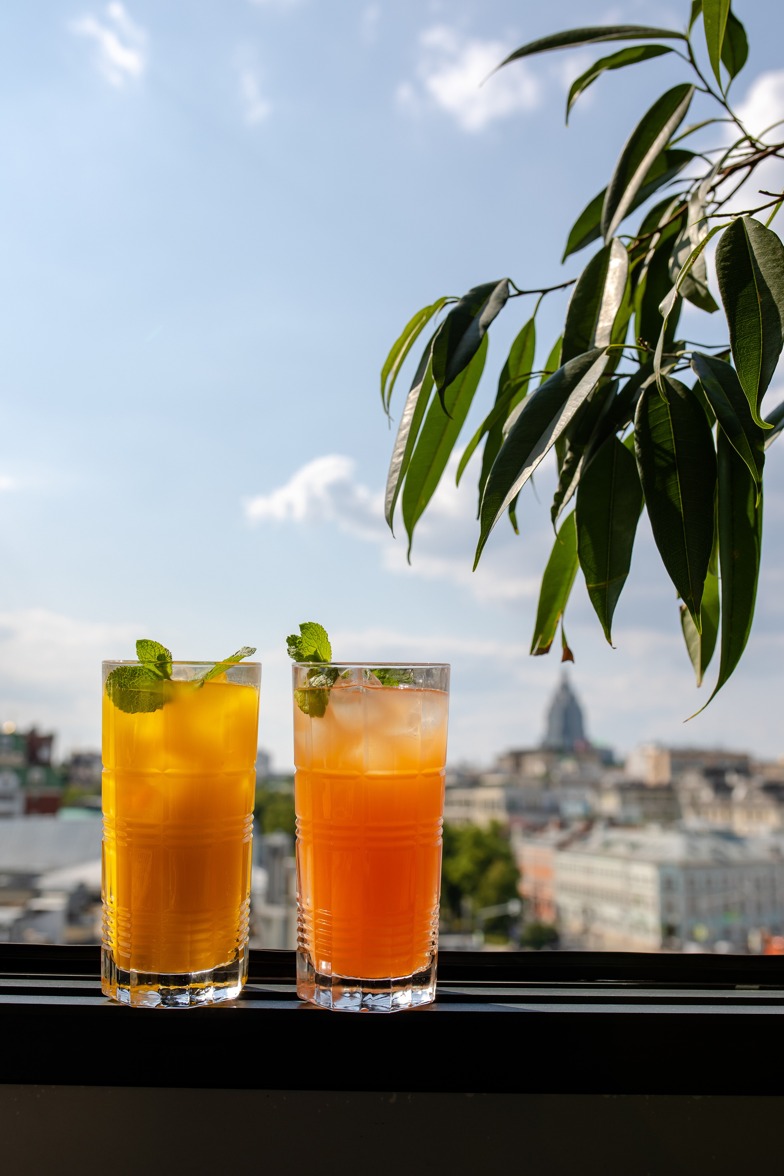 ПИФАГОР. Фотограф Агеева Мария