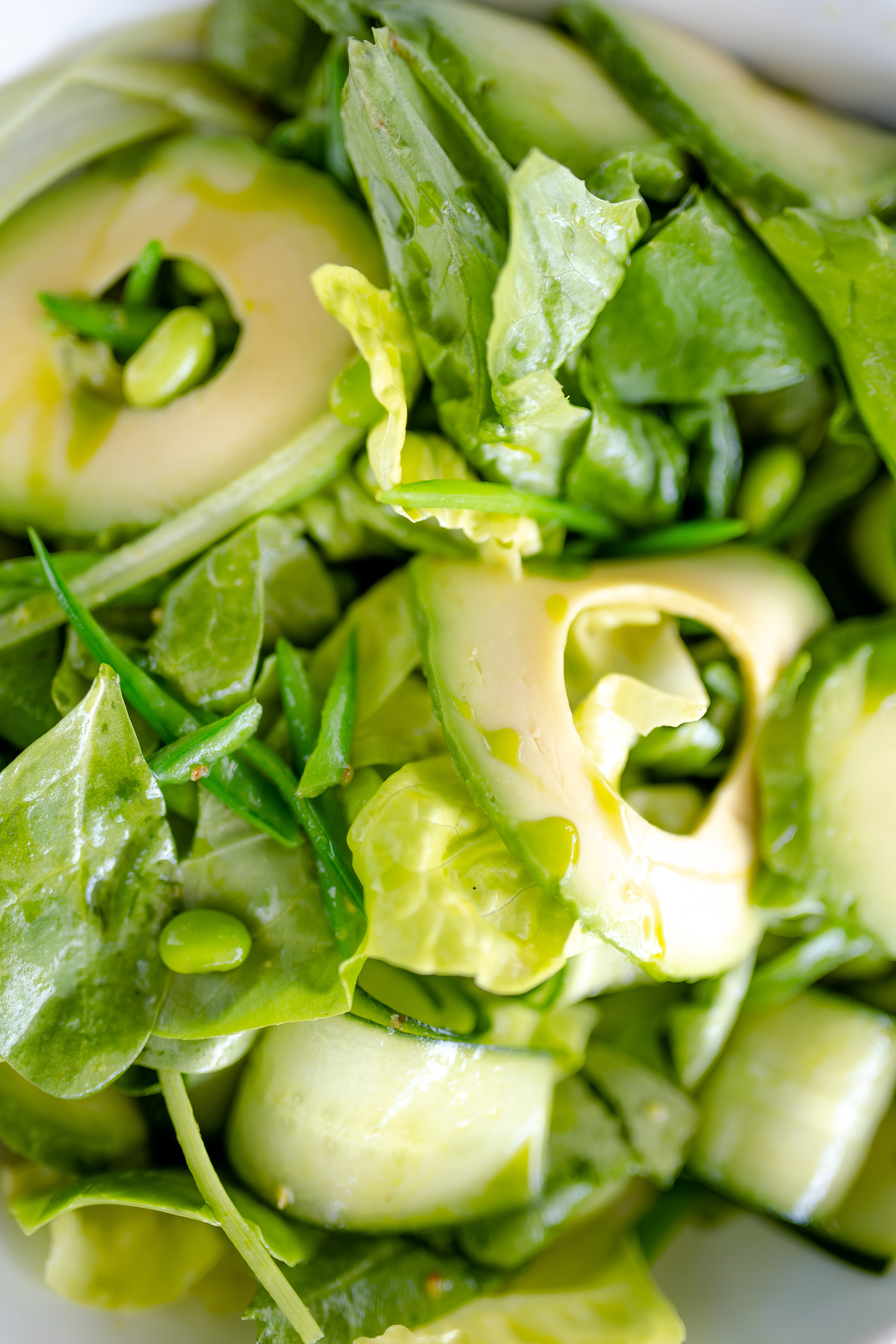 ПИФАГОР. Фотограф Агеева Мария