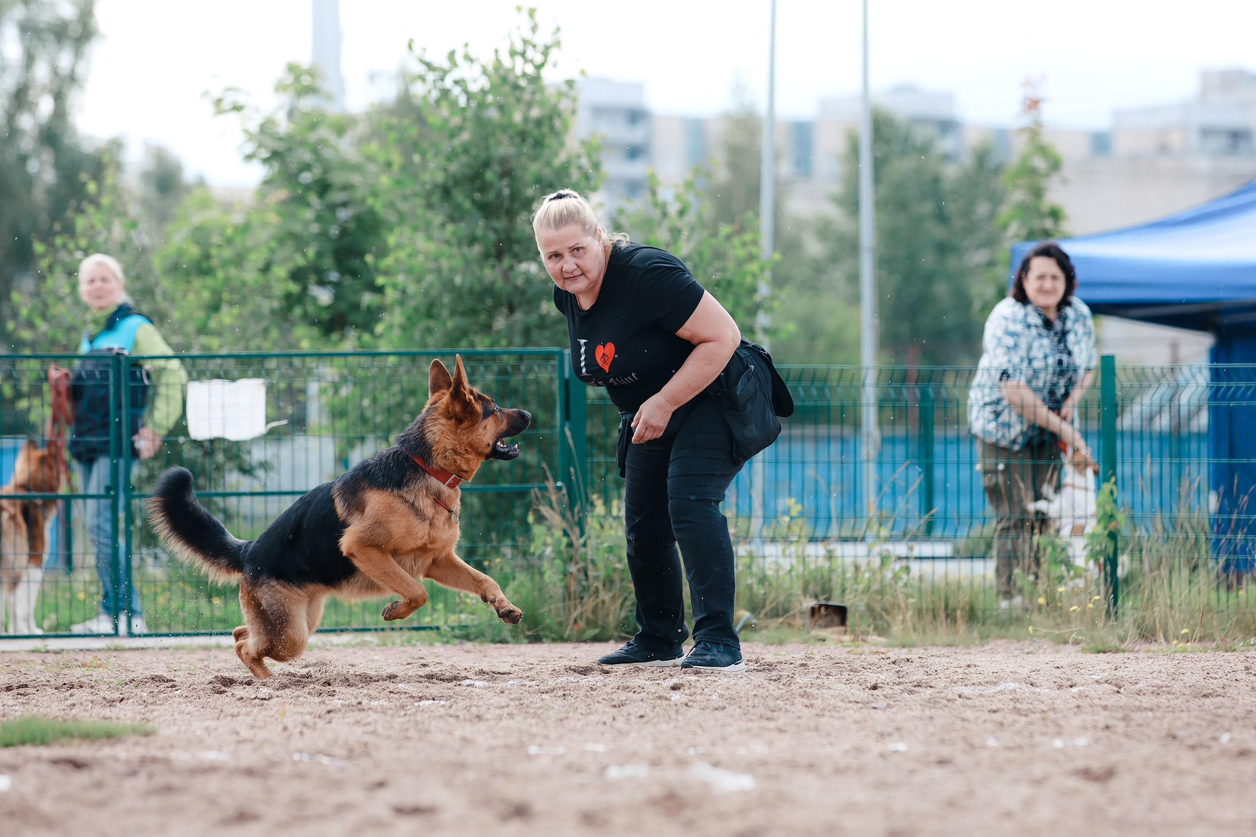Питч&Гоу + веселые старты. Фотограф-анималист Mary Mart — Москва, Питер