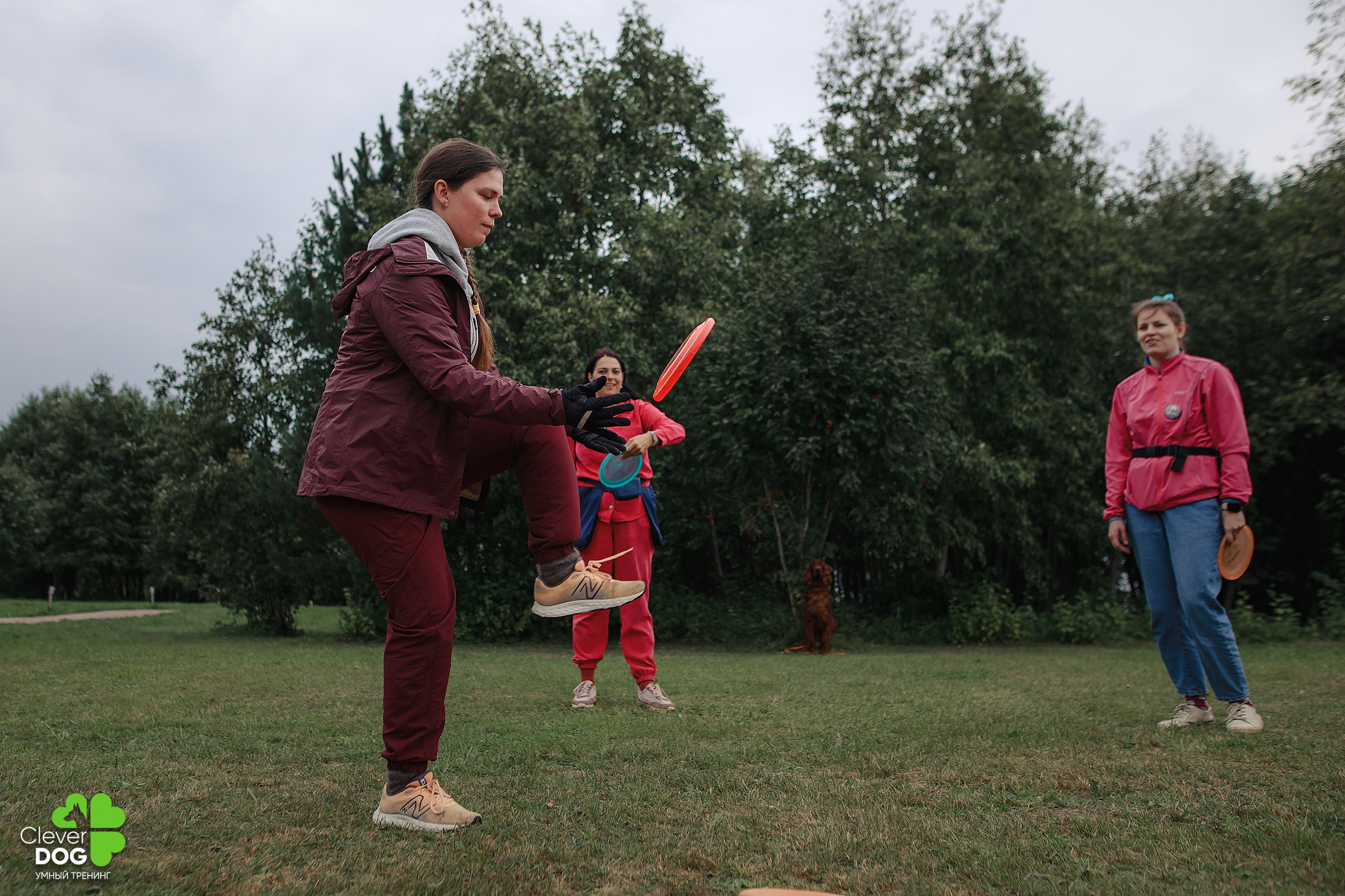 Кинологический лагерь CleverDog, 2024. Фотограф-анималист Mary Mart — Москва, Питер