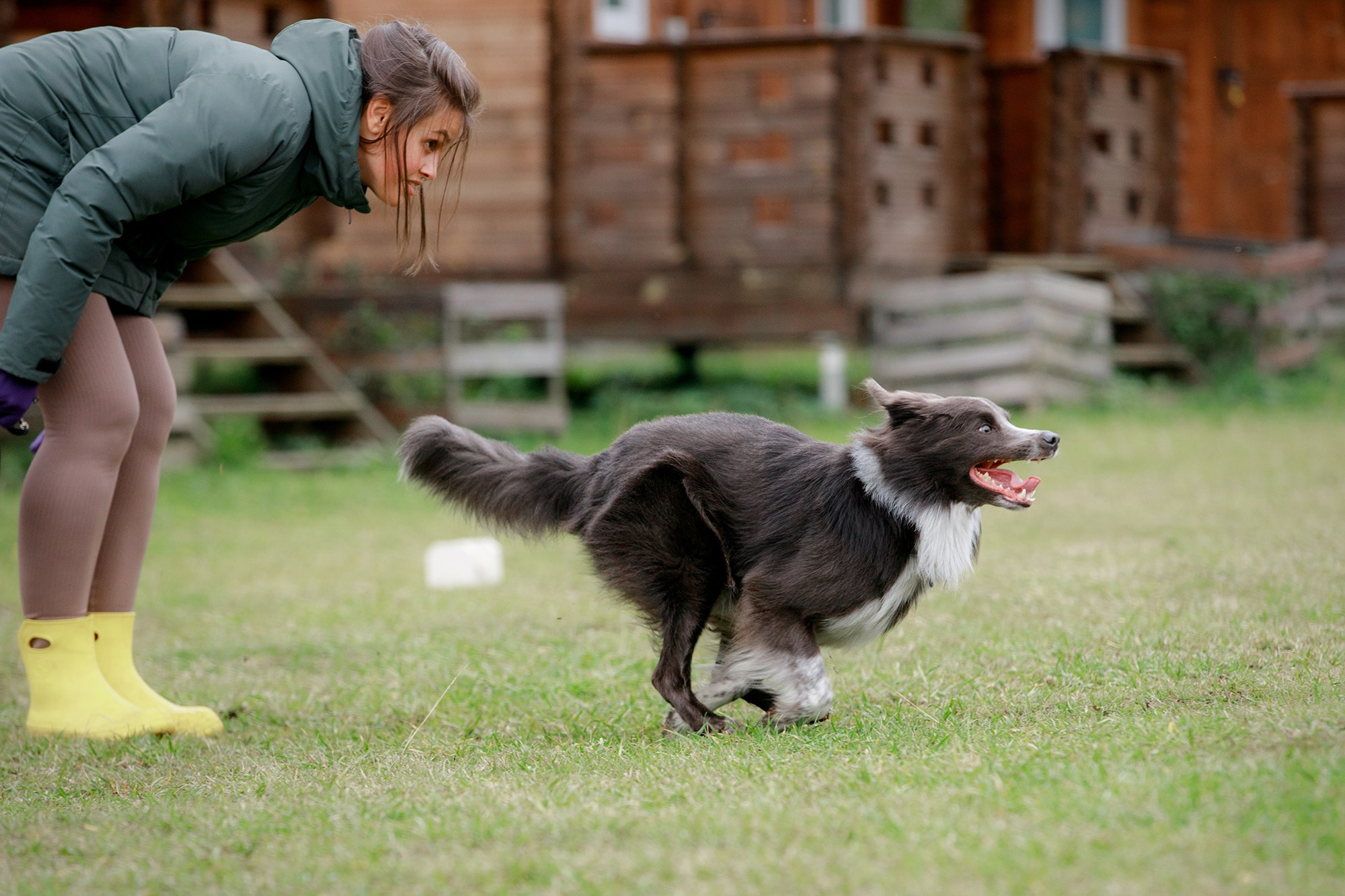 Лагерь по ОБД с Инной Баженовой. Фотограф-анималист Mary Mart — Москва, Питер
