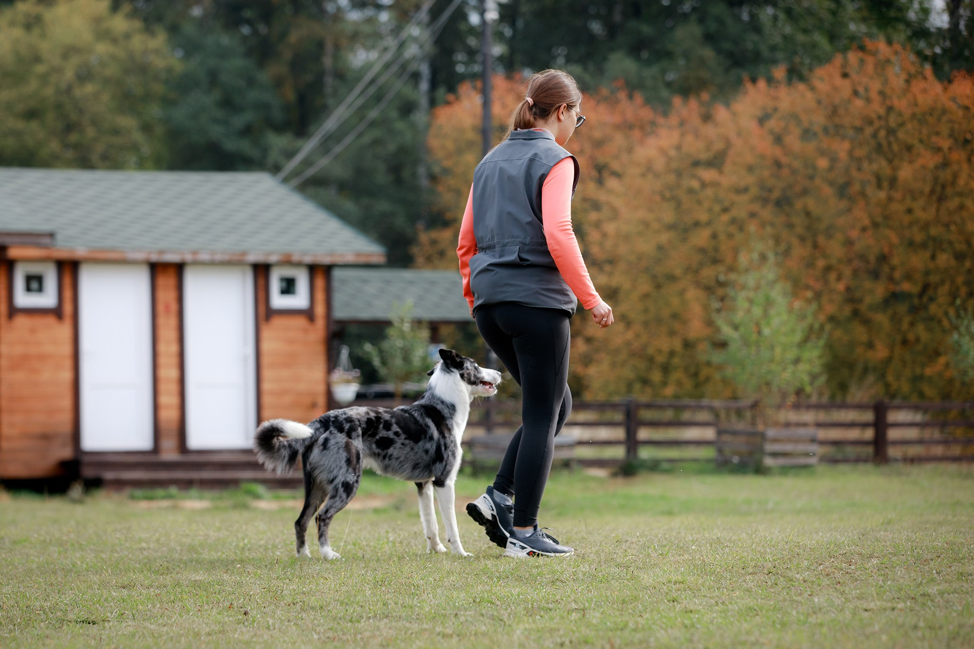 Лагерь по ОБД с Инной Баженовой. Фотограф-анималист Mary Mart — Москва, Питер