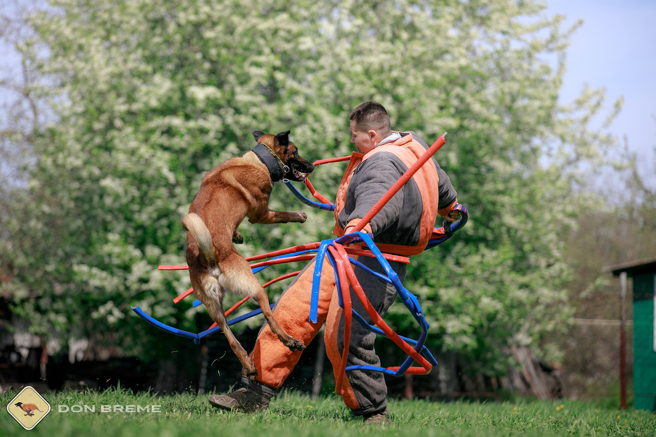 Семинар для фигурантов, день 4. Фотограф-анималист Mary Mart — Москва, Питер