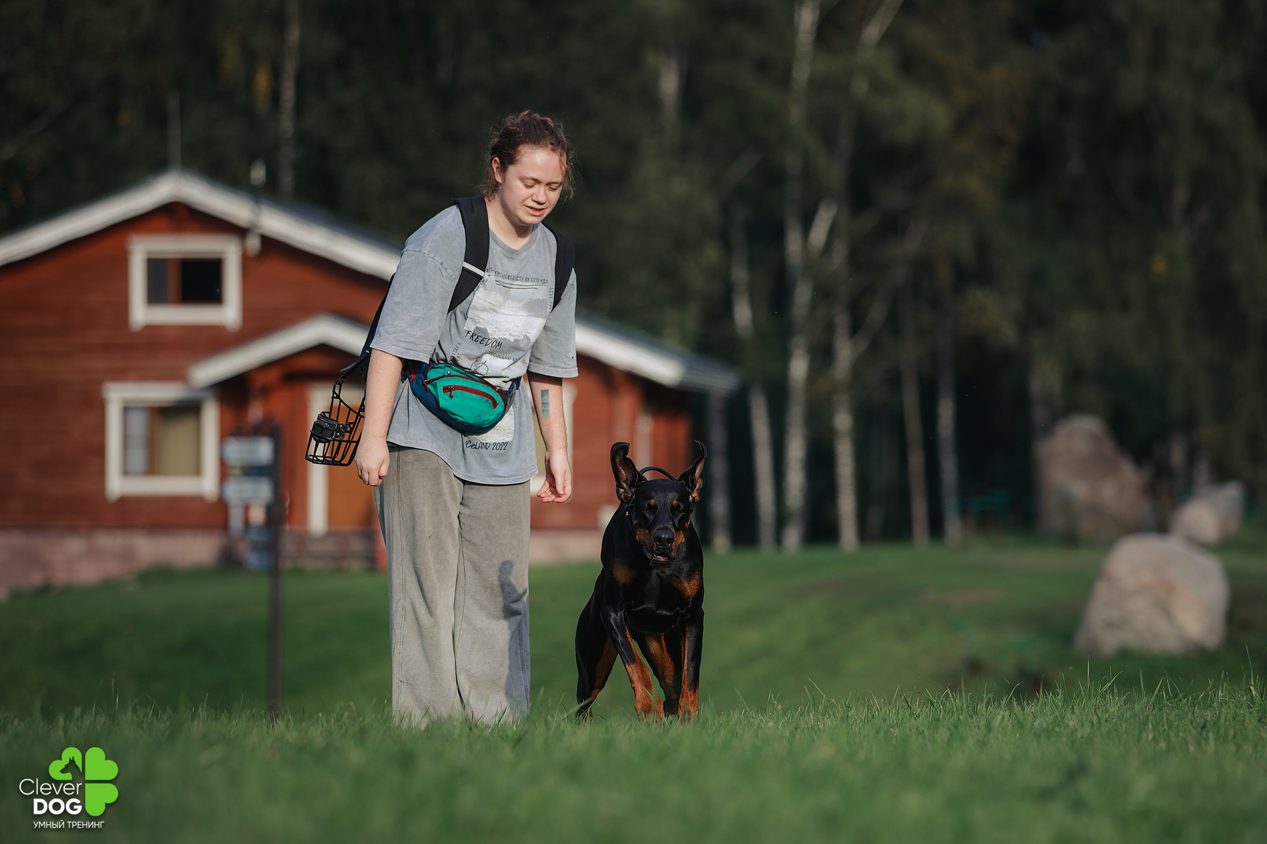 Кинологический лагерь CleverDog, 2024. Фотограф-анималист Mary Mart — Москва, Питер