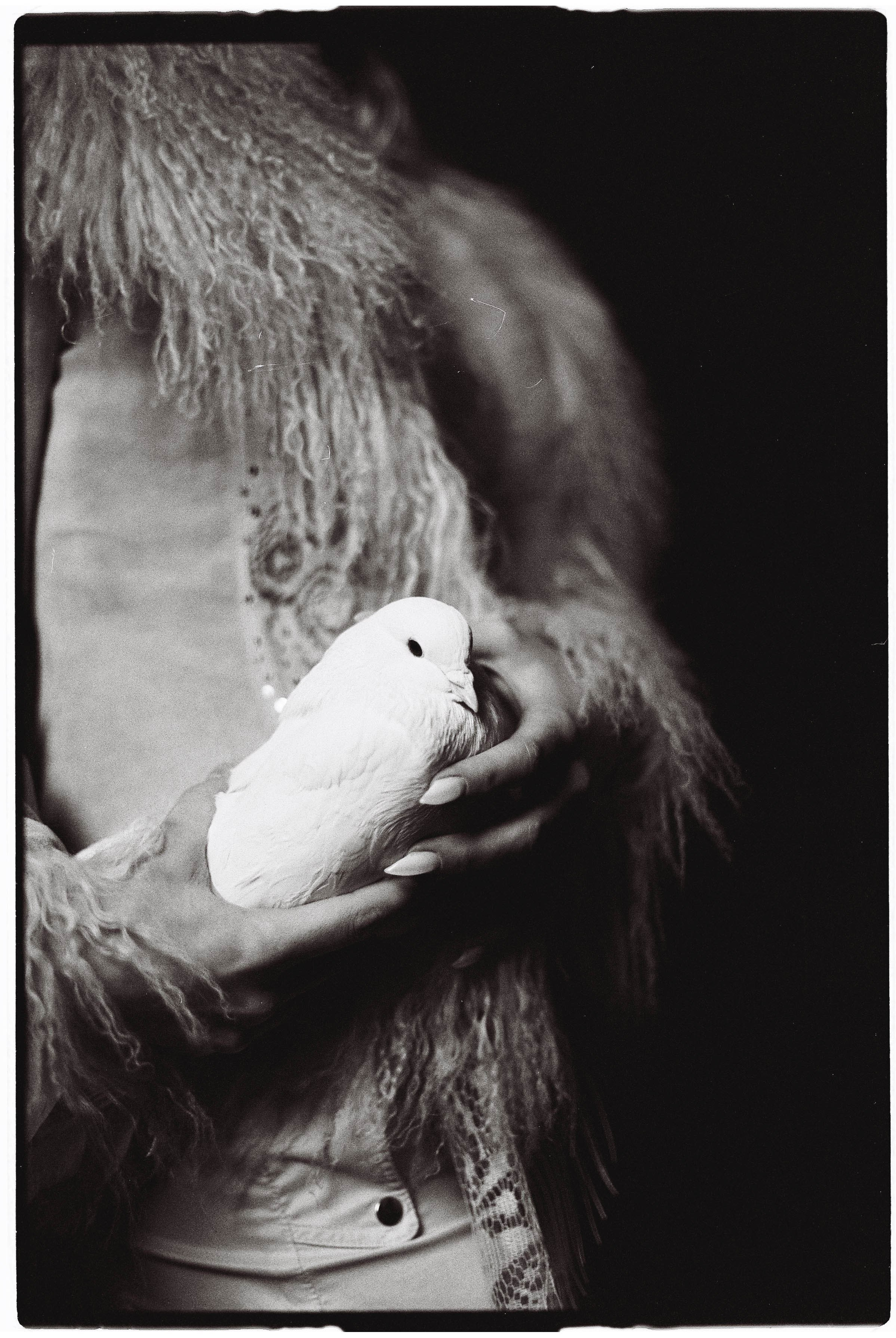 Polyna. MARK DOROHOV