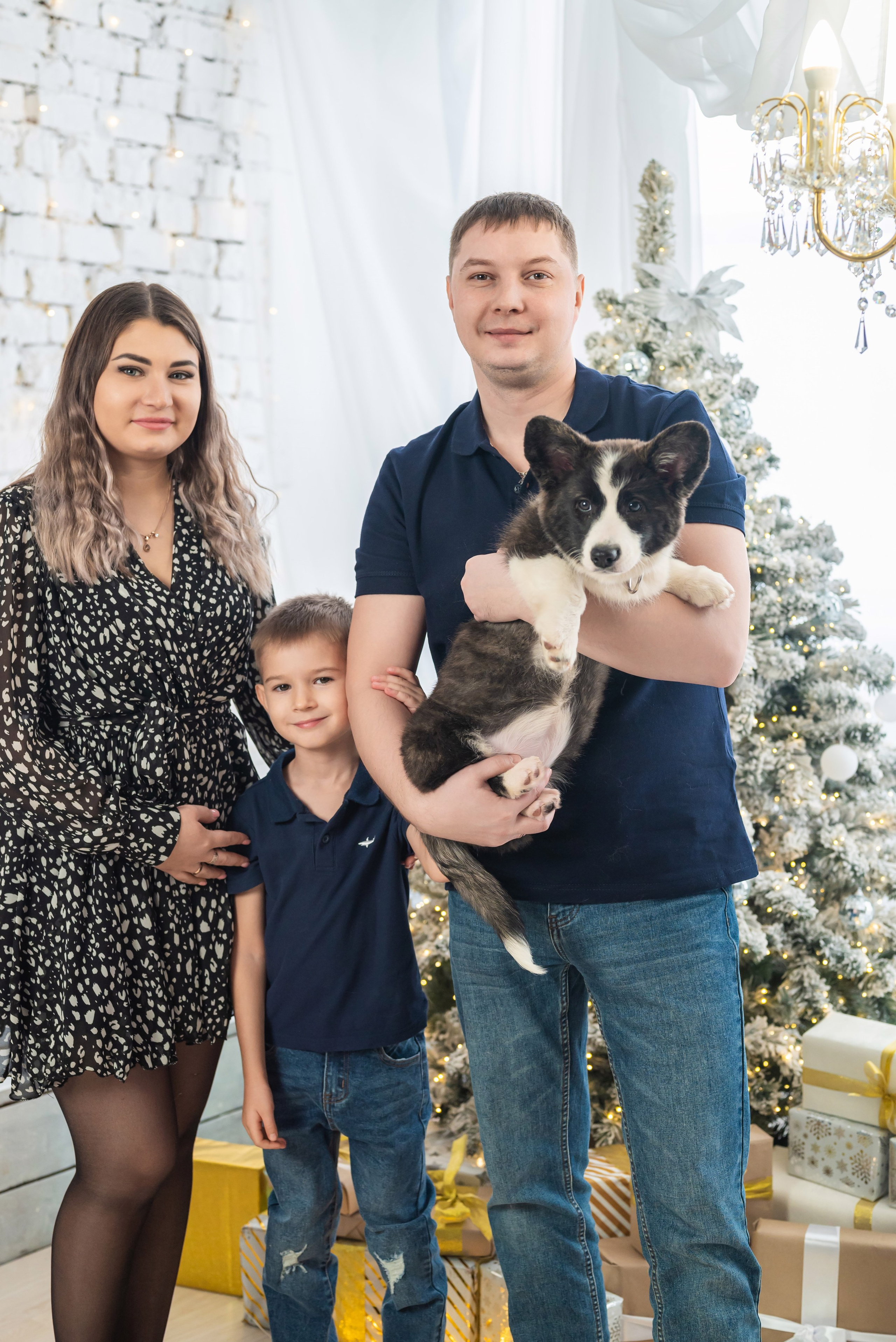 Фотопроект с корги. Фотограф в городе Салават