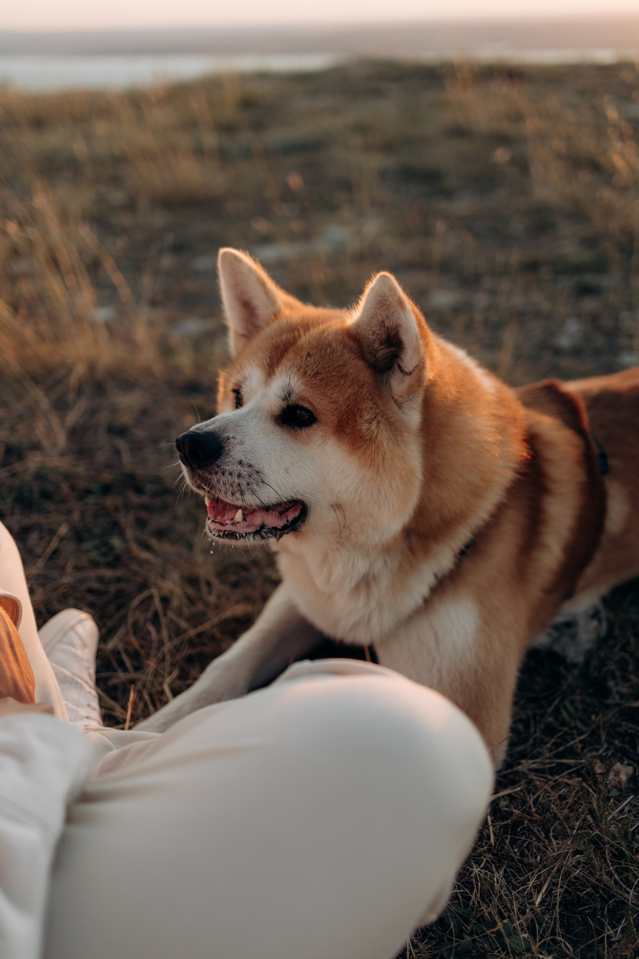 Надя, Илья и Танджи. Майорова Валерия Фотограф Ставрополь