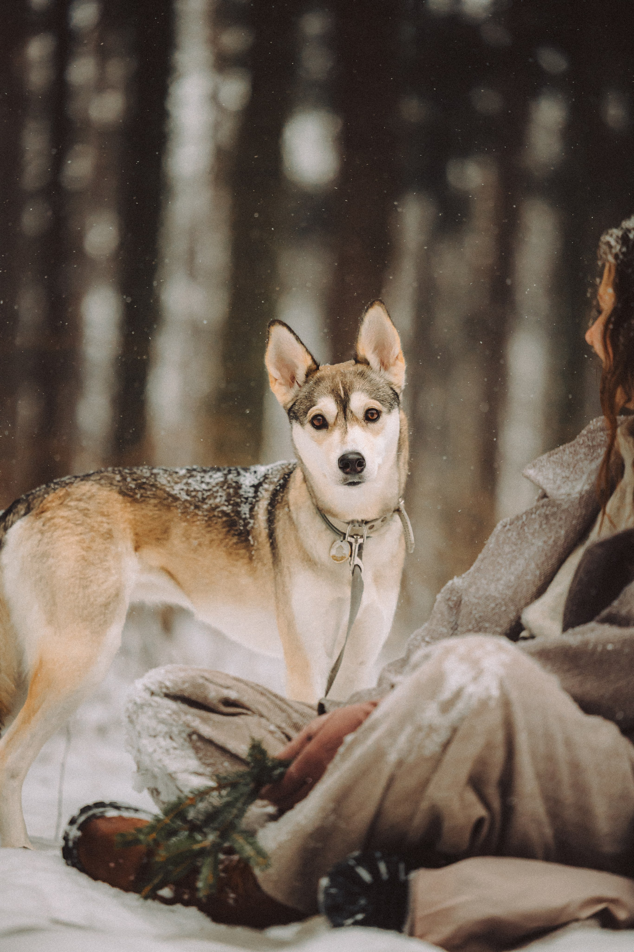 Аня и Рокси