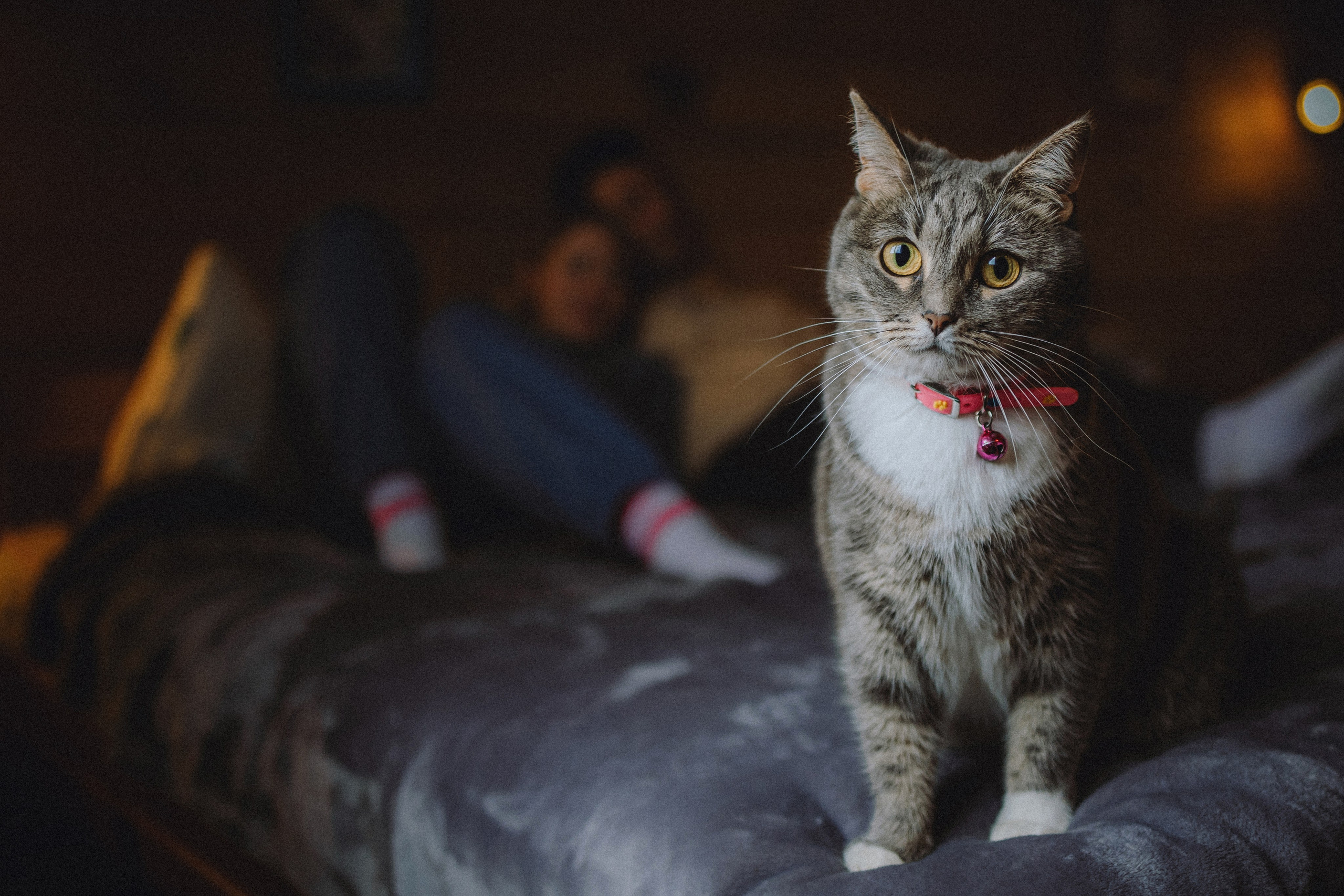 Леброн, Муся и их семья