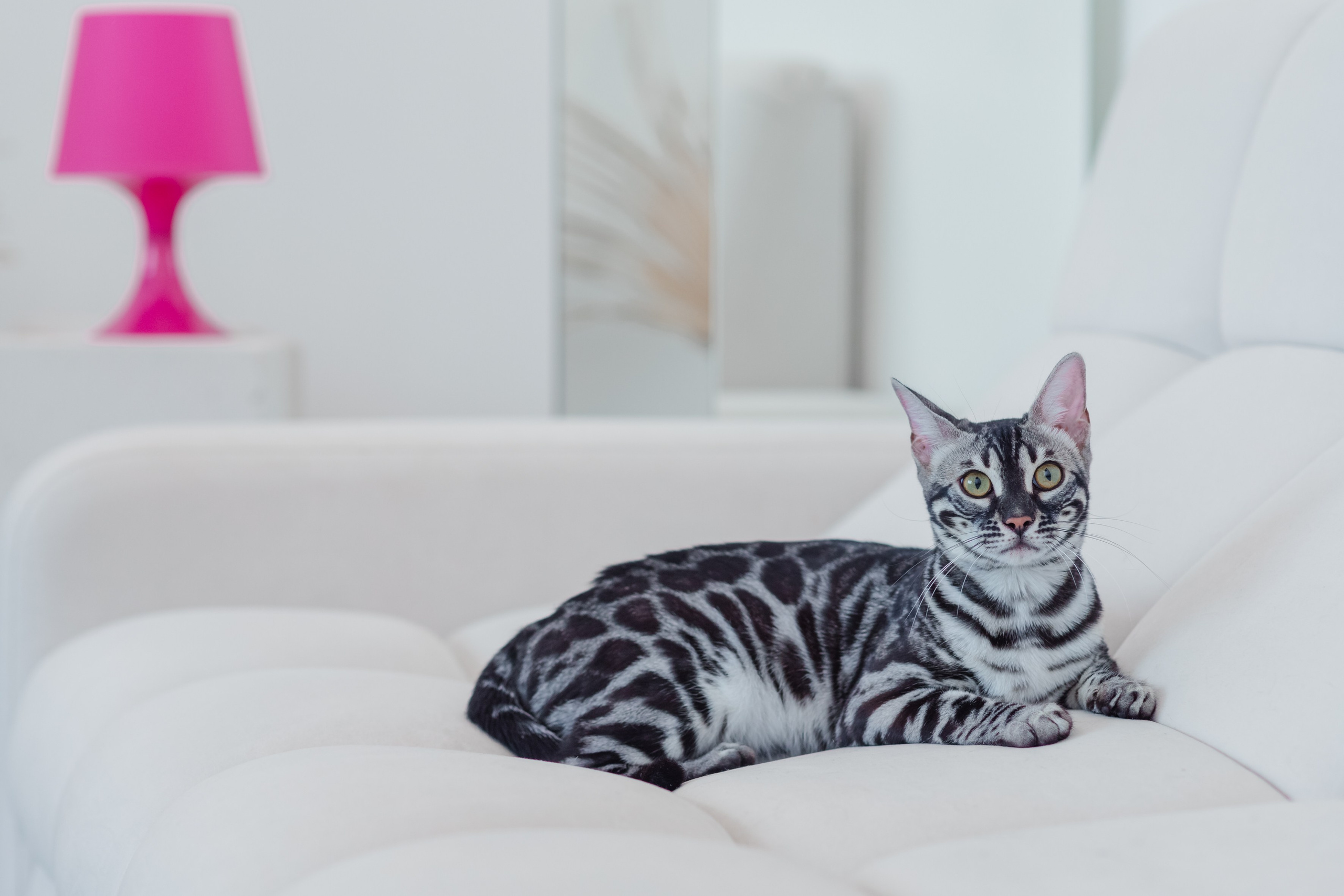 Рекламное фото. Люксмедиа — это команда фотографов и видеографов. Город Казань. Дамир Сафин