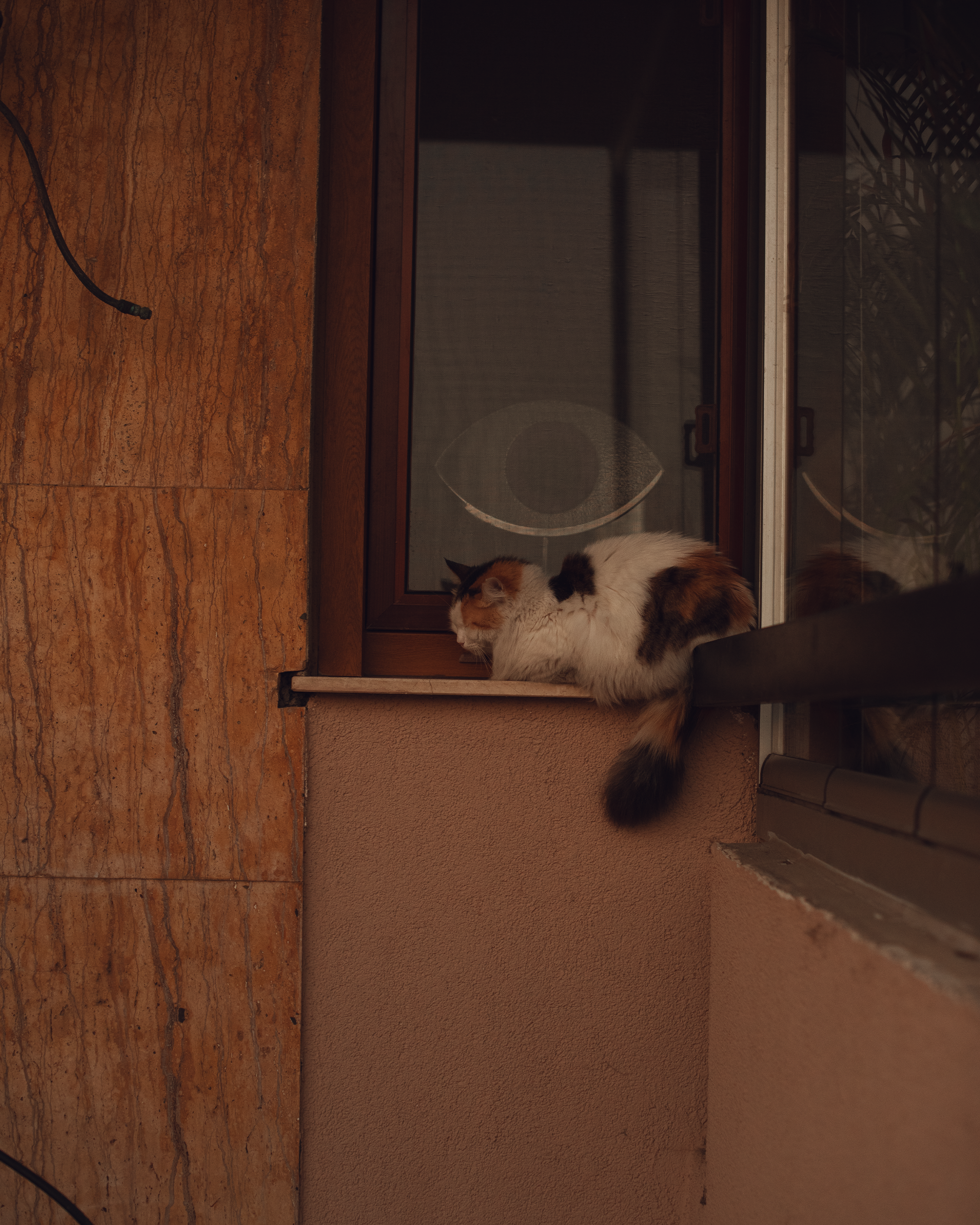 Стамбул в кадре: взгляд рекламного фотографа из Гуанчжоу. Коммерческий и предметный фотограф в Гуанчжоу Коваленко Александр