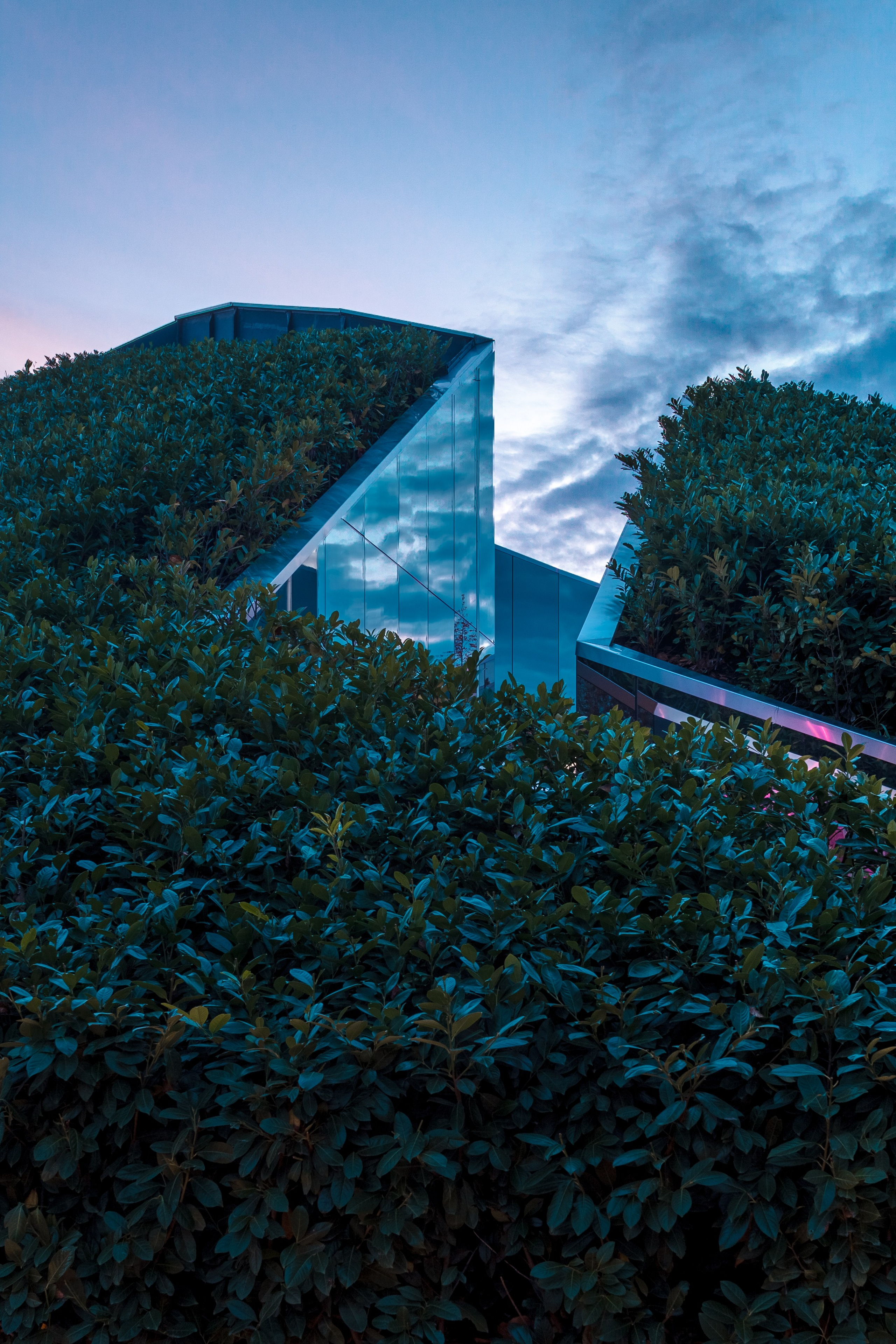 Фотосъёмка экстерьеров. Алексей Шмуль