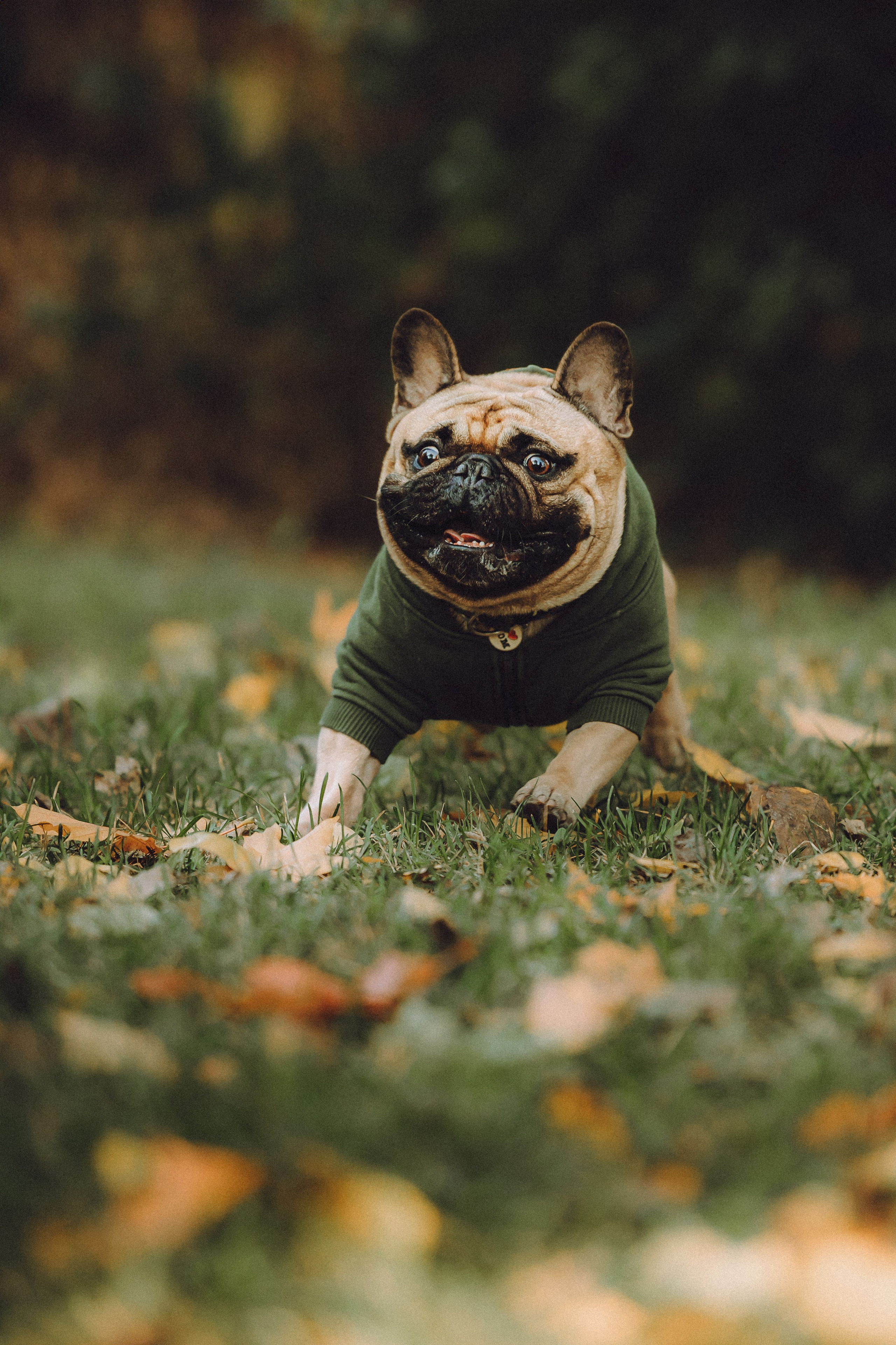 Настя, Женя и Хонор