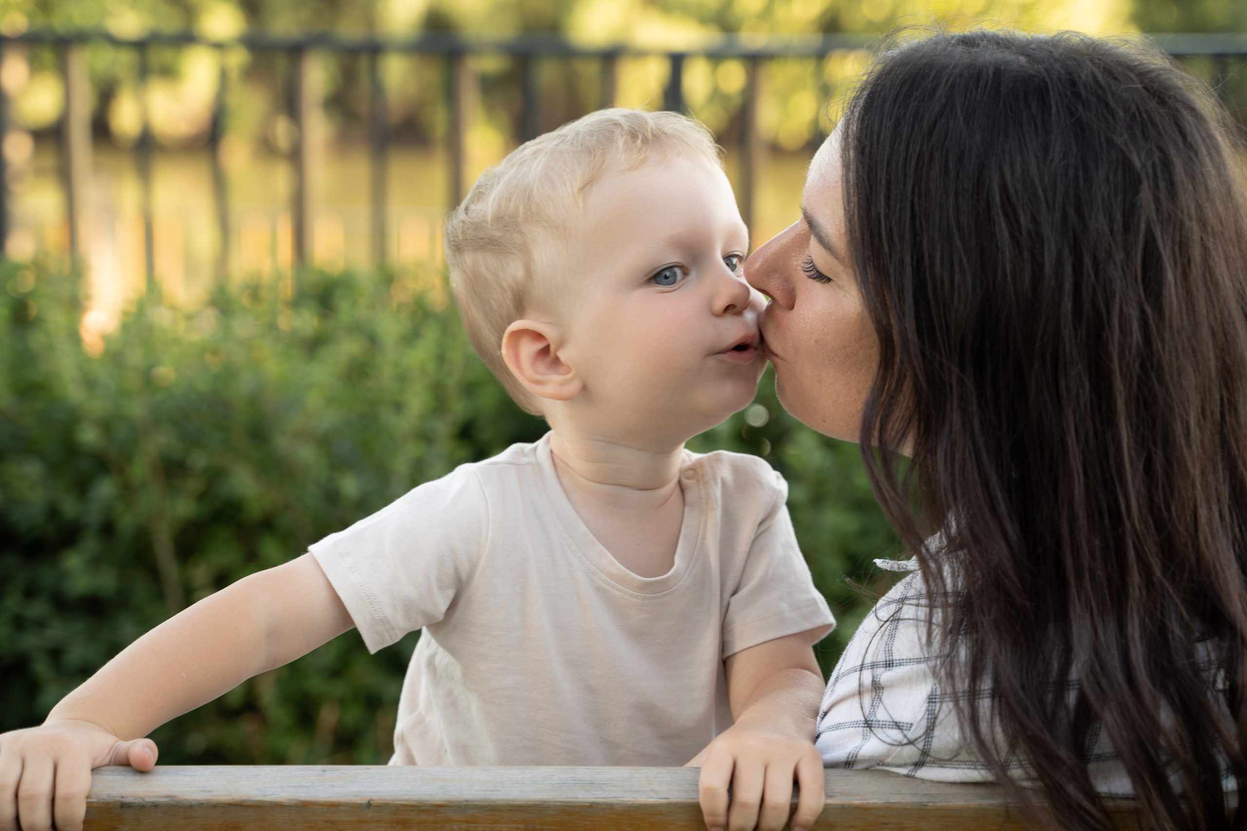 Семейная прогулка. Главная