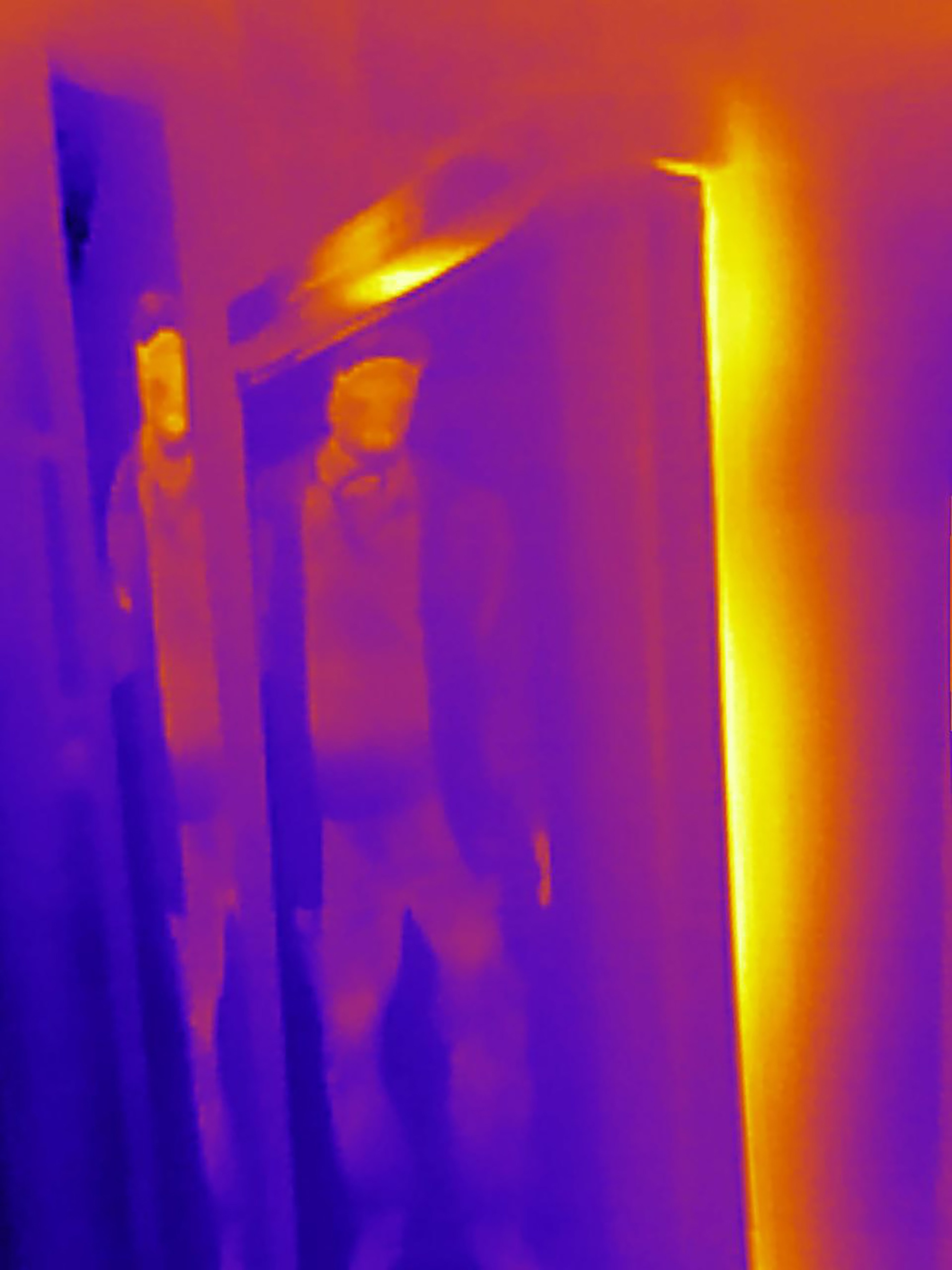 Если б я была удавом / If I were a boa constrictor. Visual artist Olga Burmistrova