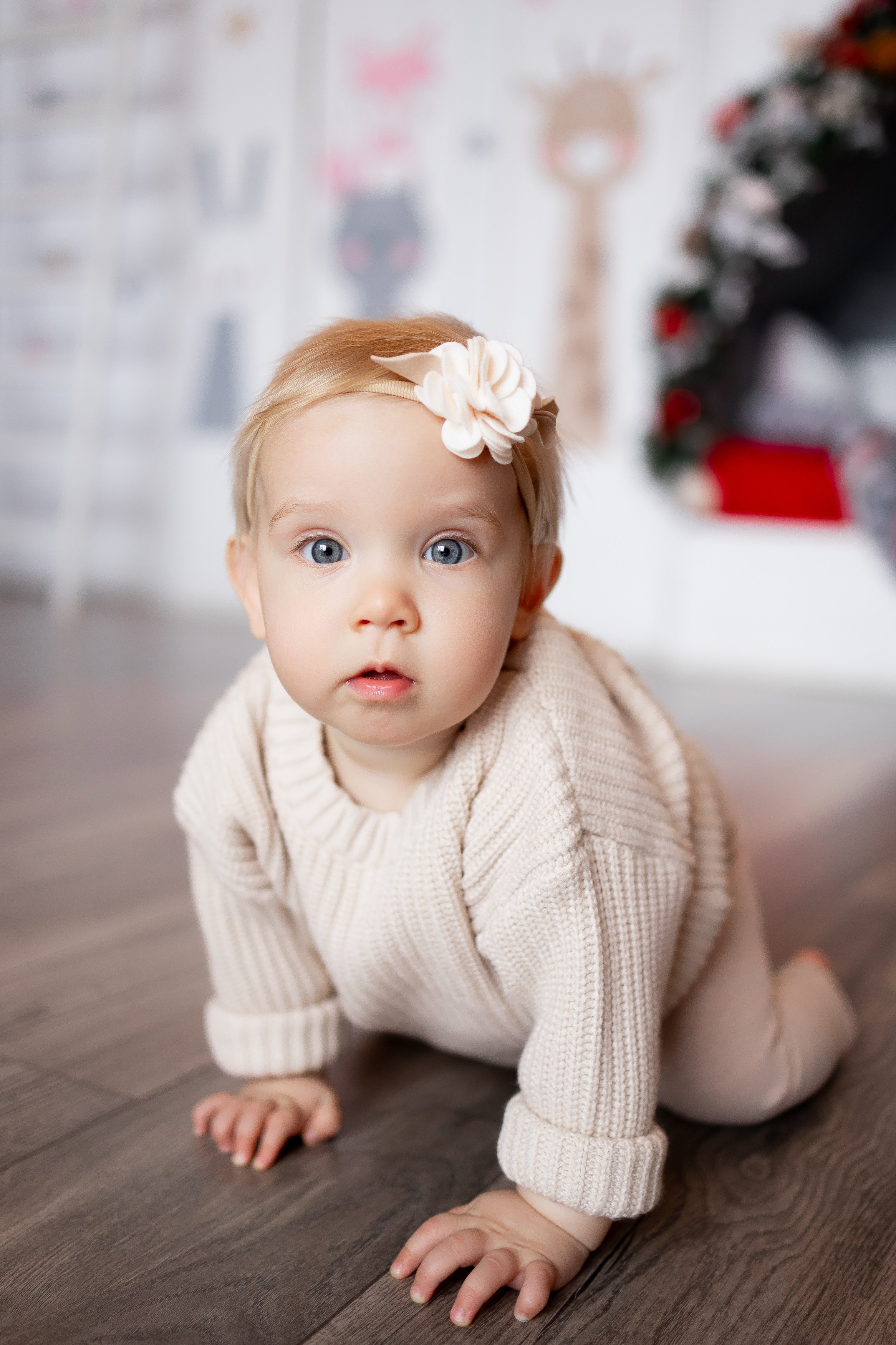 Семейная в фотостудии 10.11.24. Свадебный и контент фотограф в Нижнем Новгороде Владимир Пресняков