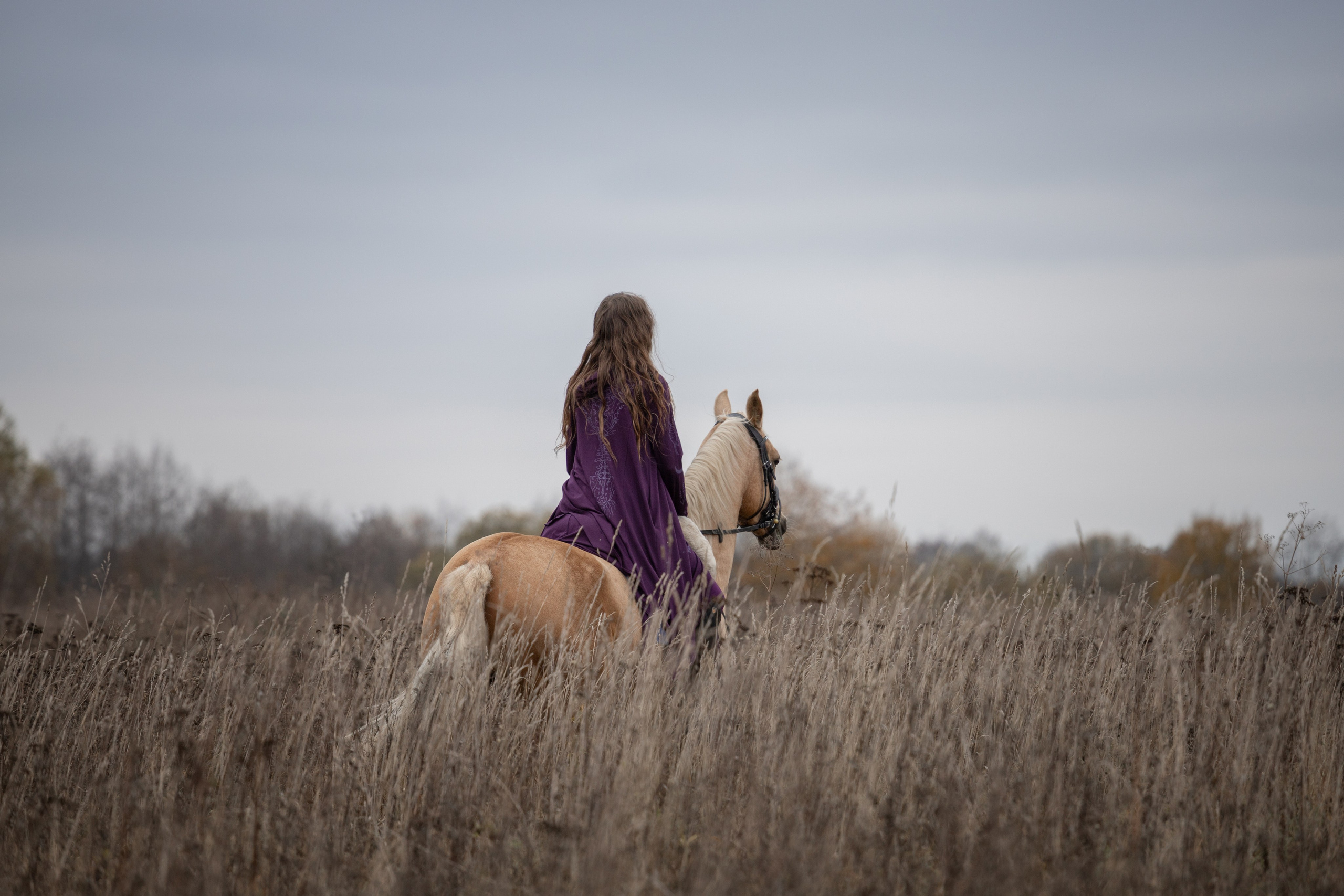 Фотосъёмка лошадей. Семейный и анималист фотограф в Переславле Анастасия Гусева