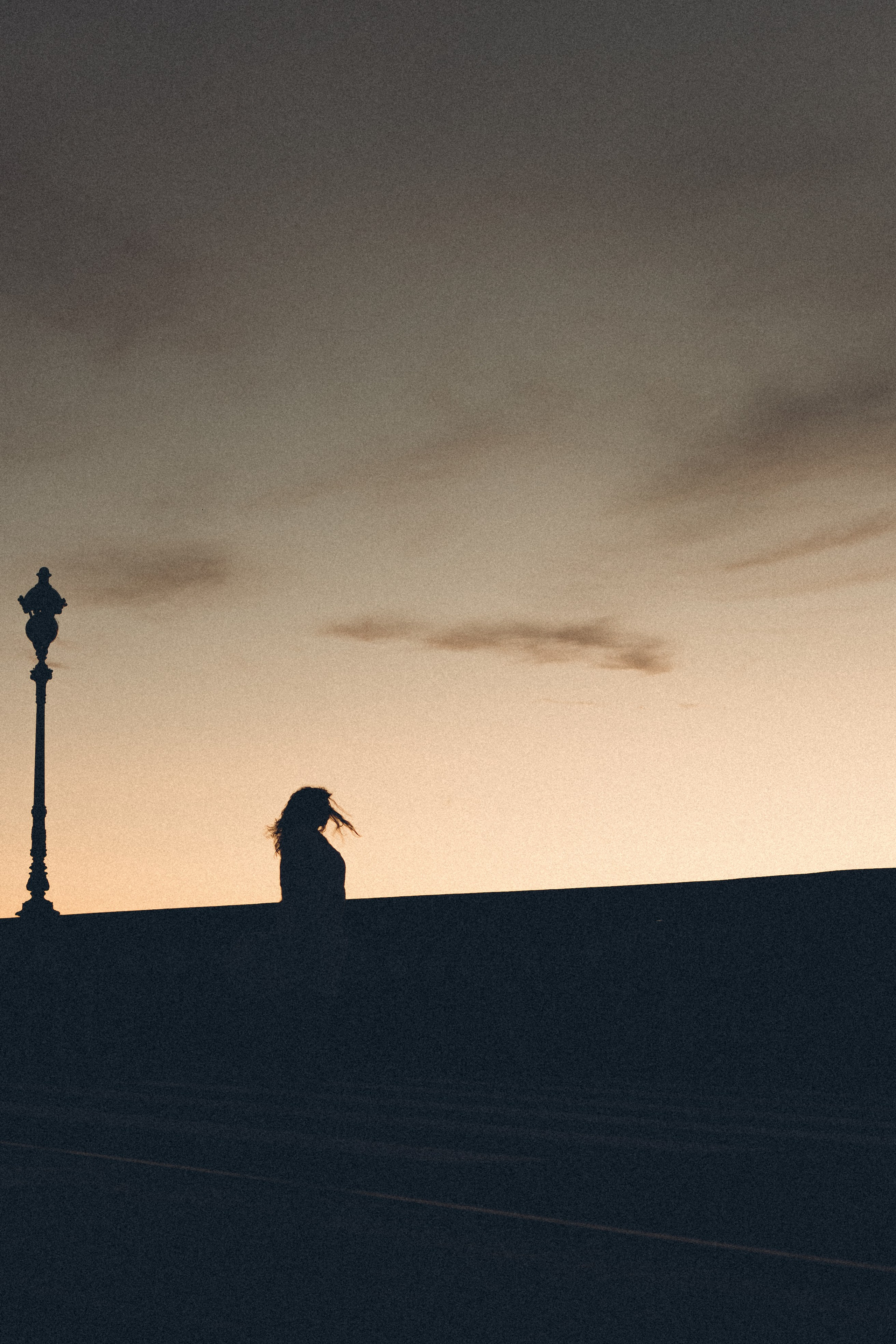 РАССВЕТ С РАЗВОДНЫМИ МОСТАМИ. Профессиональный фотограф, Санкт-Петербург — Виктория Богомолова