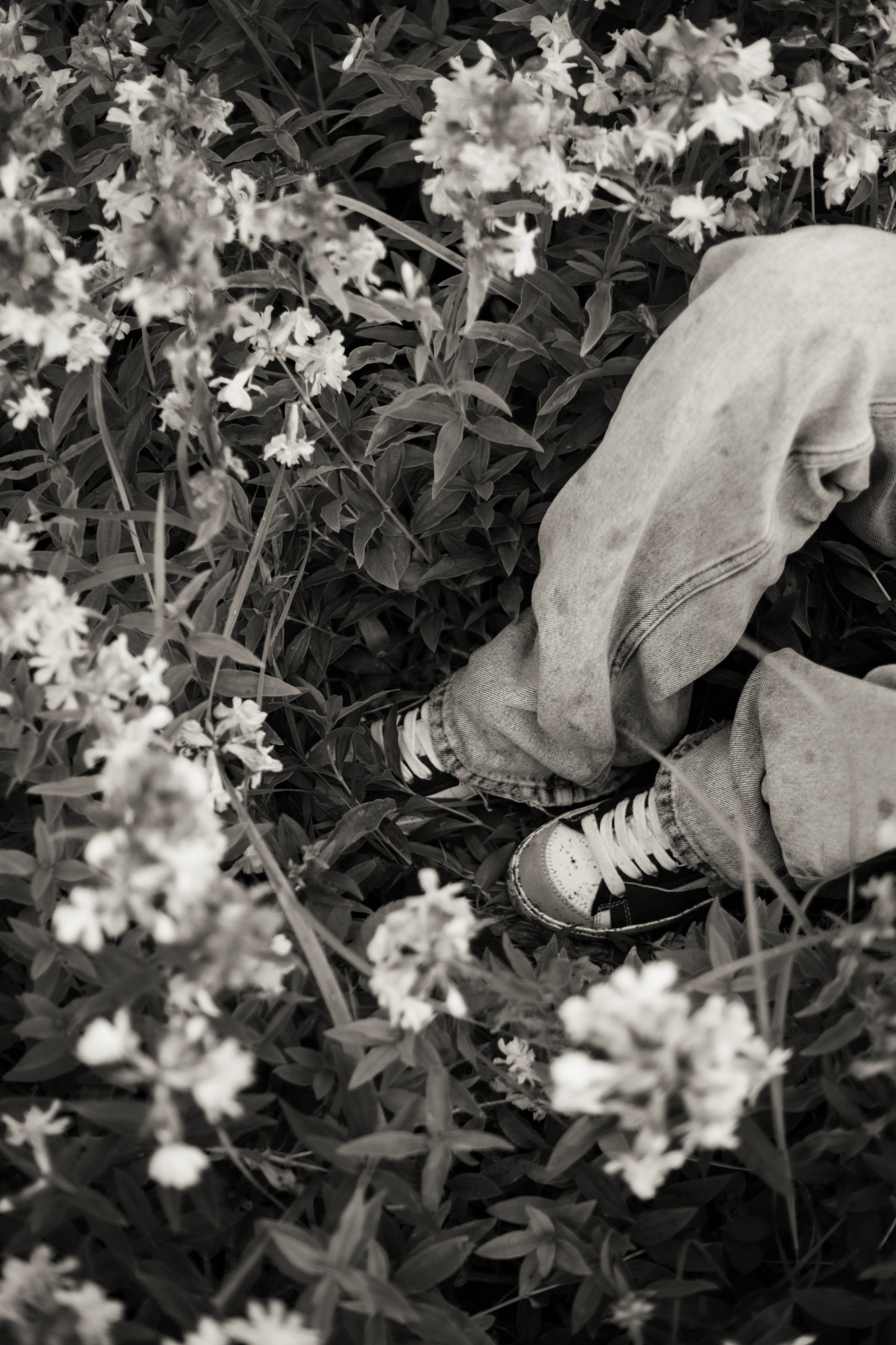 Луиза. Съёмка на заливе. Lickord