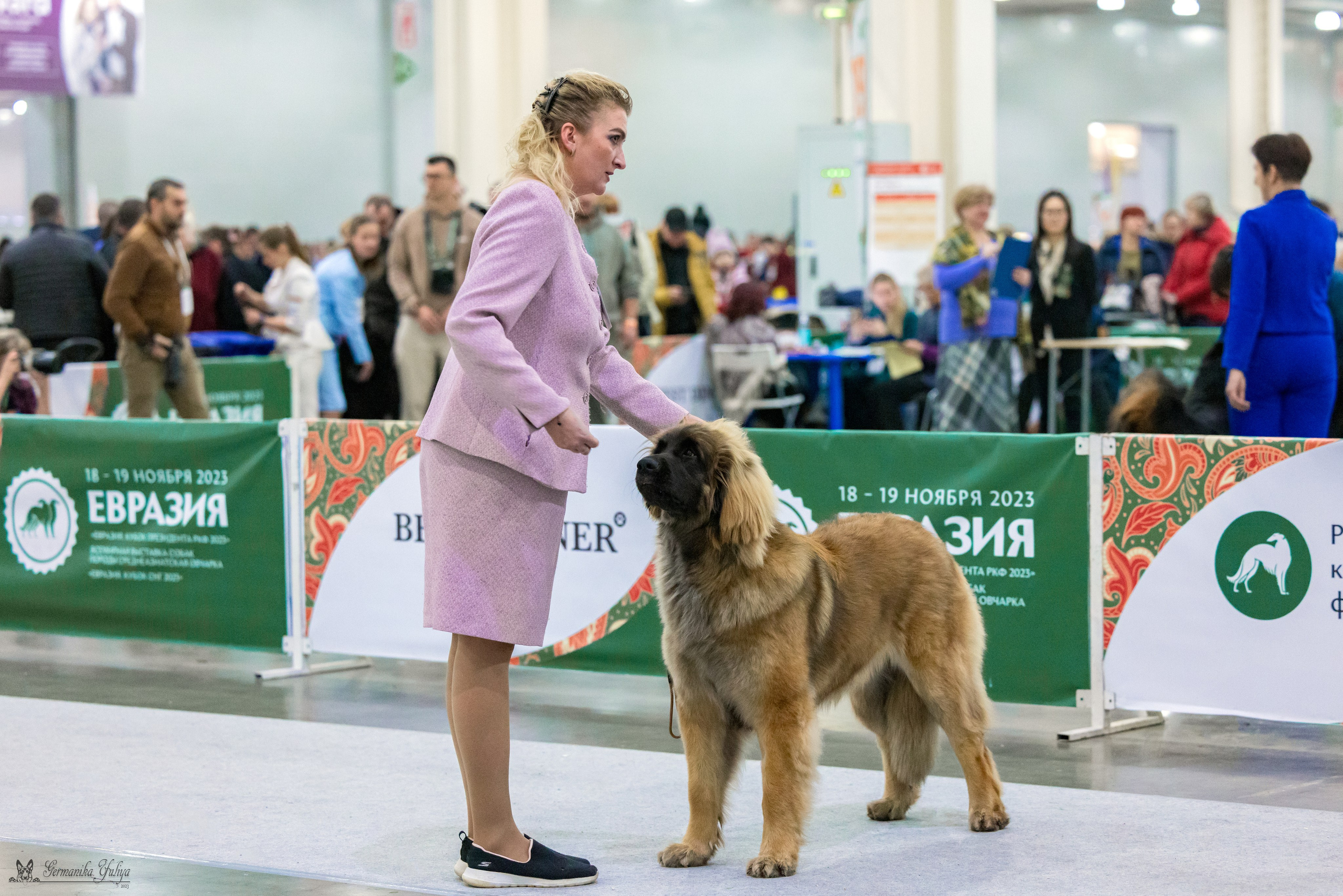 ЕВРАЗИЯ 18-19.11.2023. Фотограф-анималист Юлия Германика