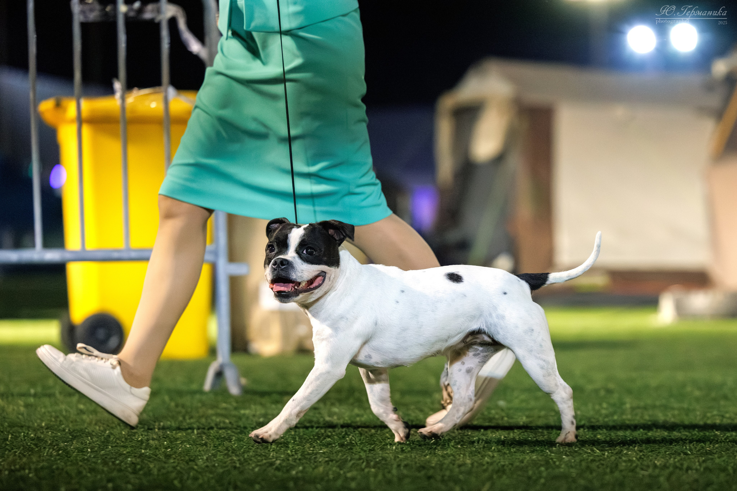 Калининград 25-27.07 Волгоград 1-3.08 2025. Фотограф-анималист Юлия Германика