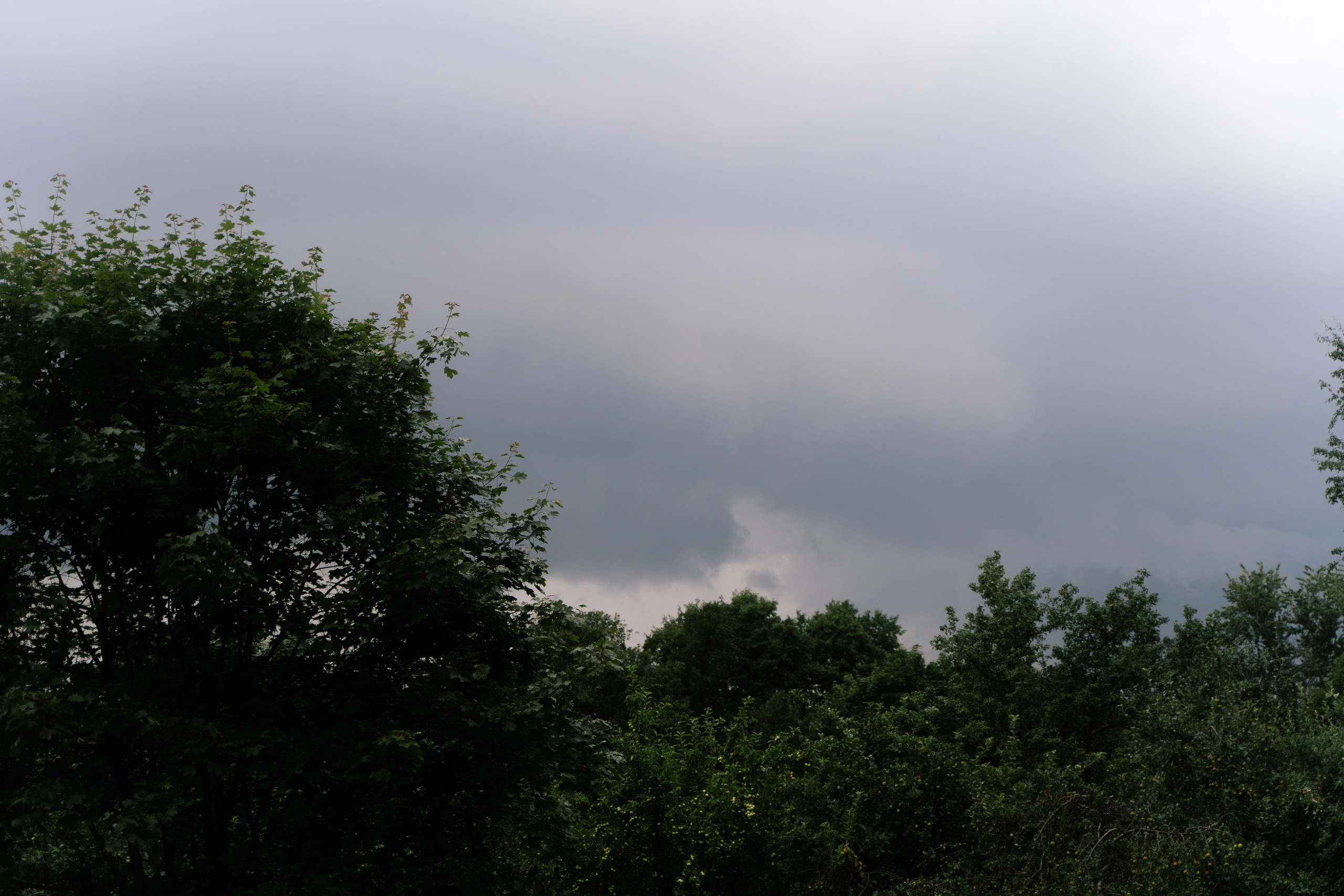 Вадим Александра. Свадебный фотограф Воронеж