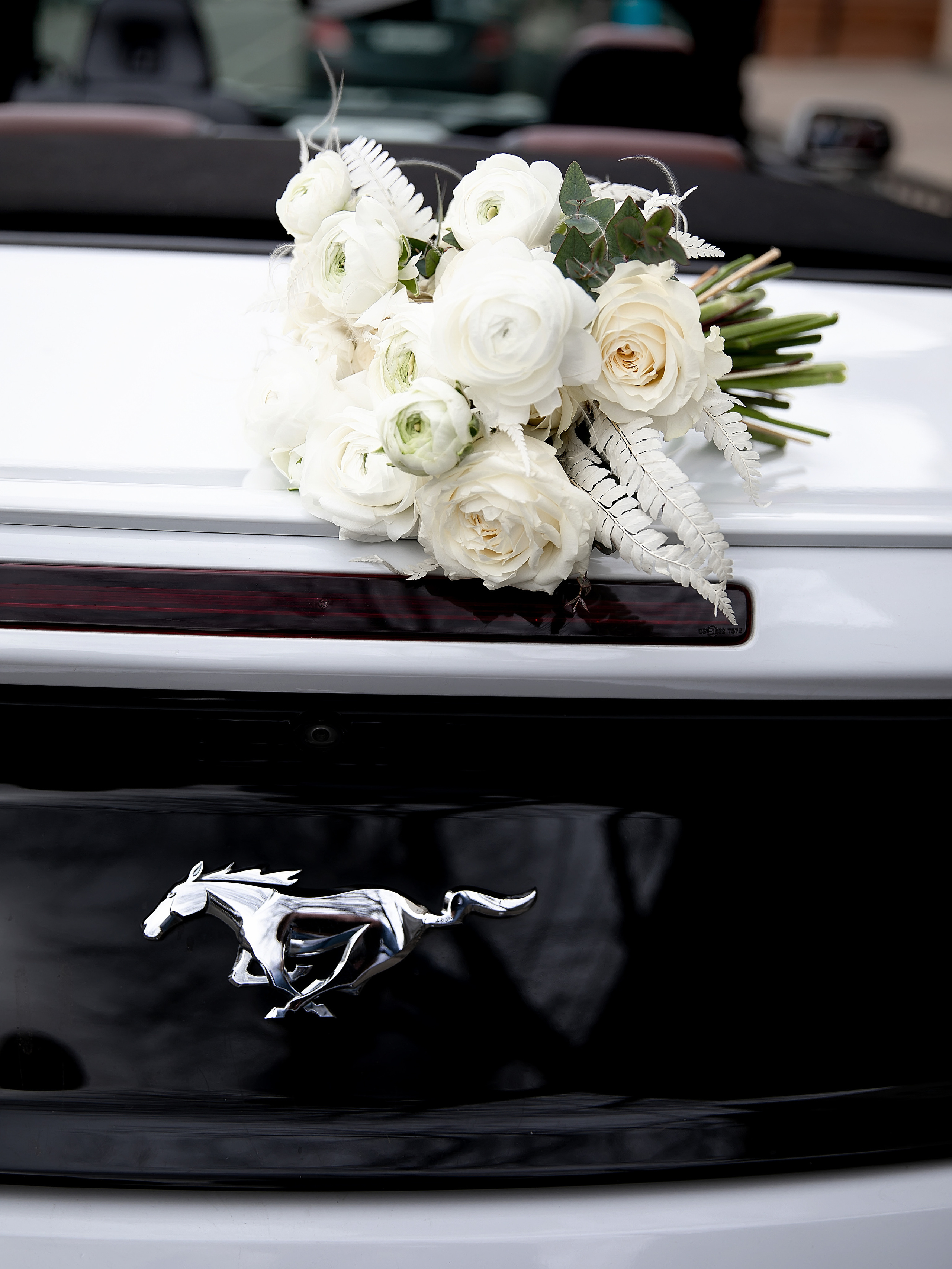 Свадебный фотограф. Фотограф Людмила Жук