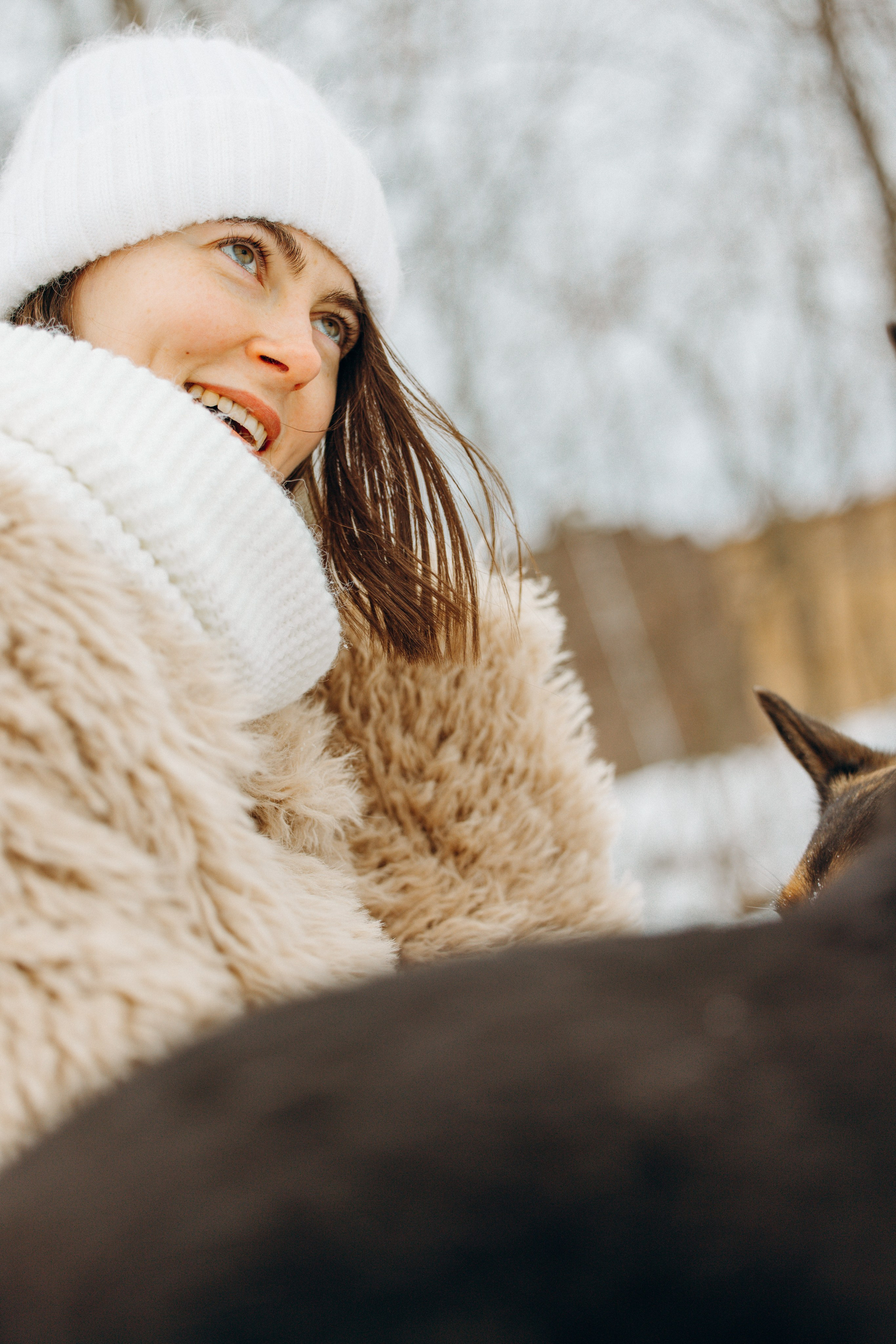 Ника, Матиша и Герда. Фотограф-анималист в Москве Лера Черноног