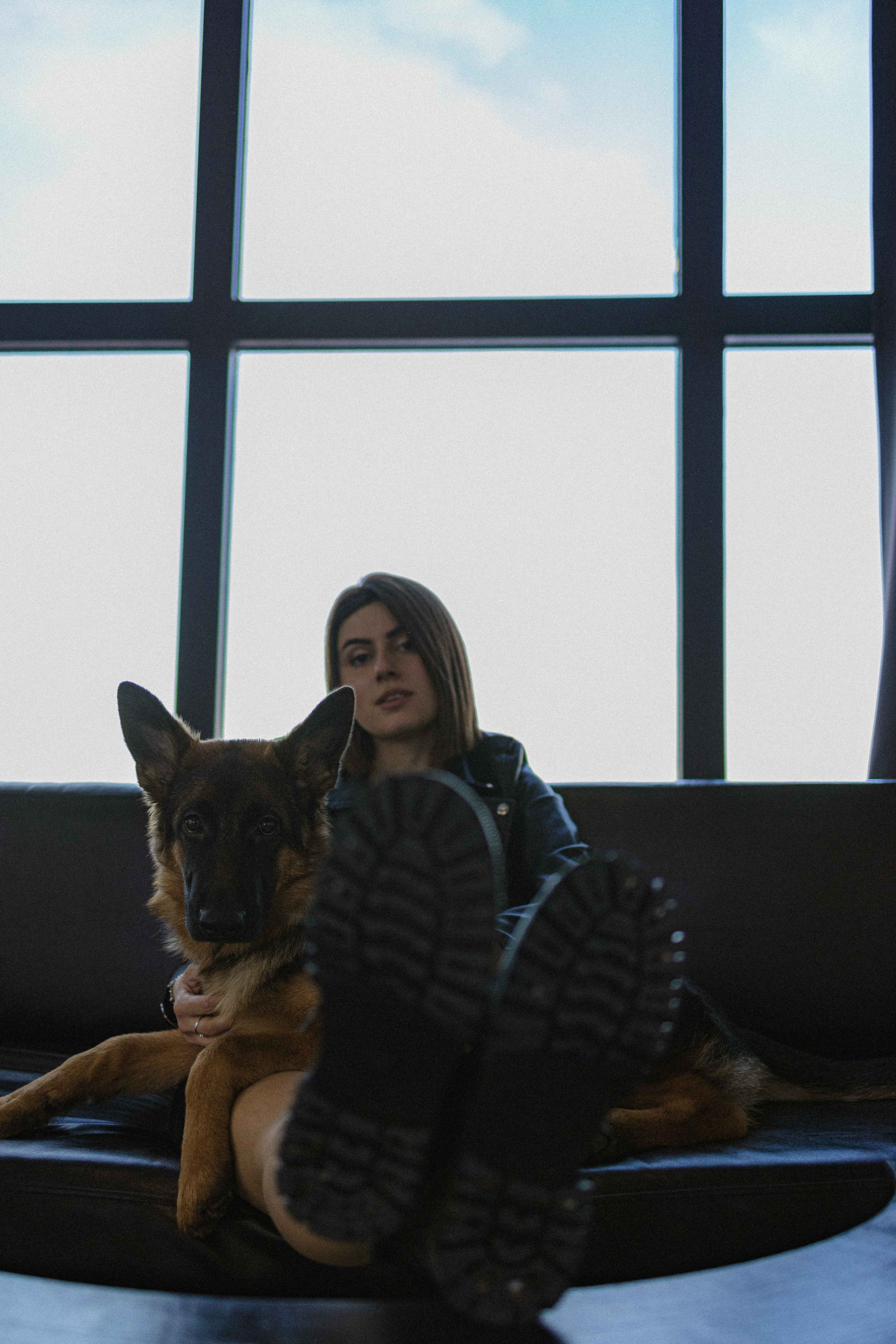 Ася и Буся. Фотограф-анималист в Москве Лера Черноног