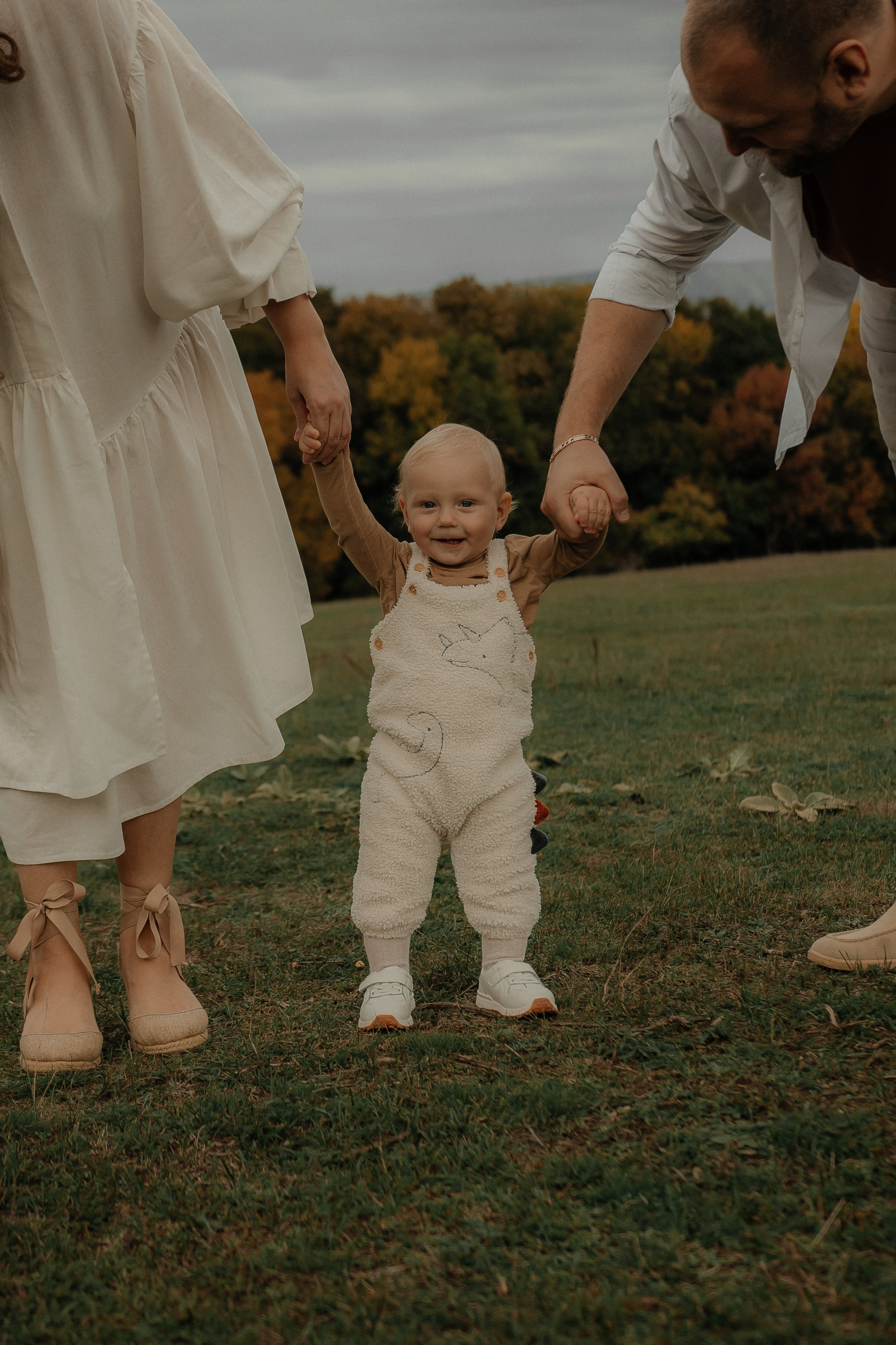 Условия и стоимость