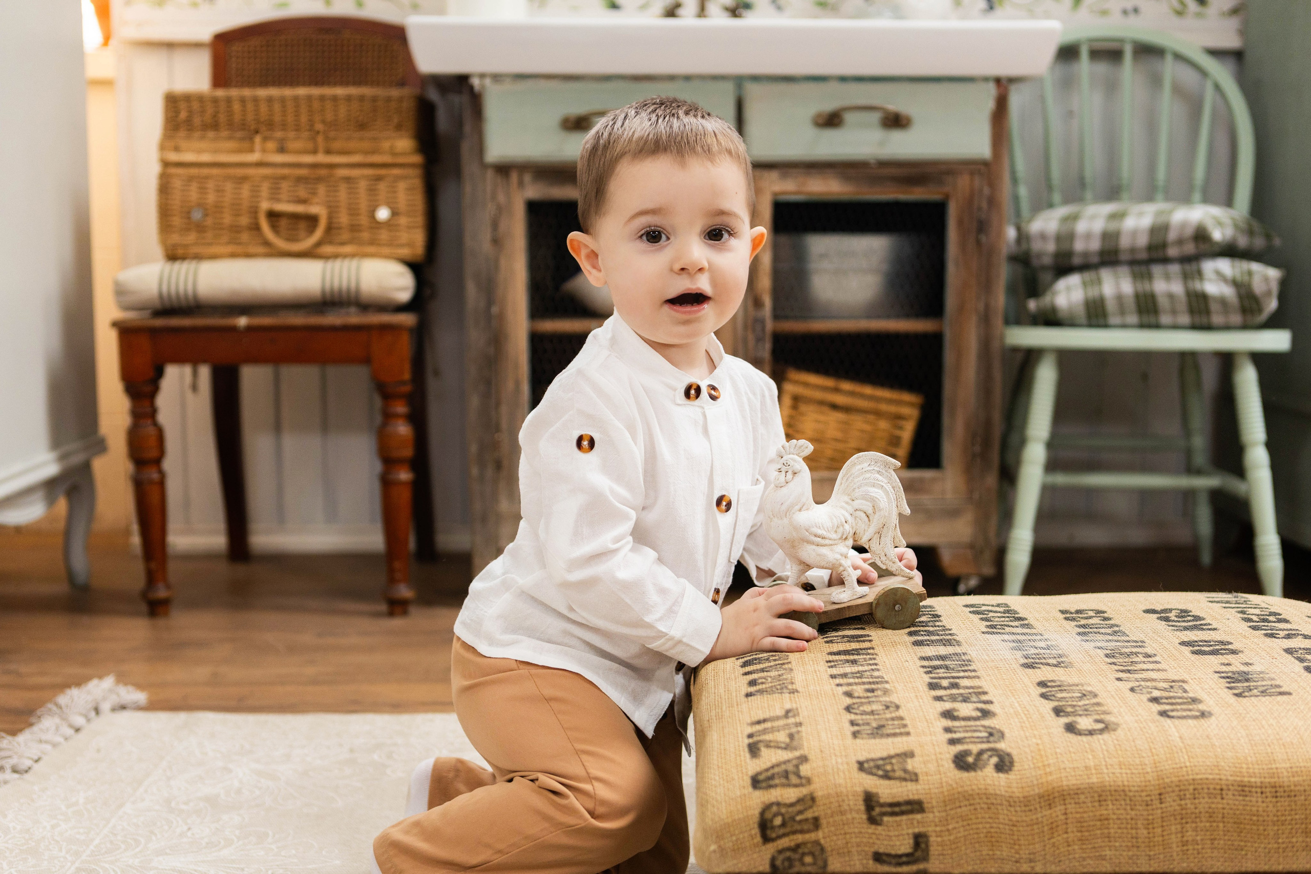 Фотосессия со щенками кавалер кинг чарльз спаниэль. Свадебный семейный и детский фотограф в Краснодаре Карина Федоровская