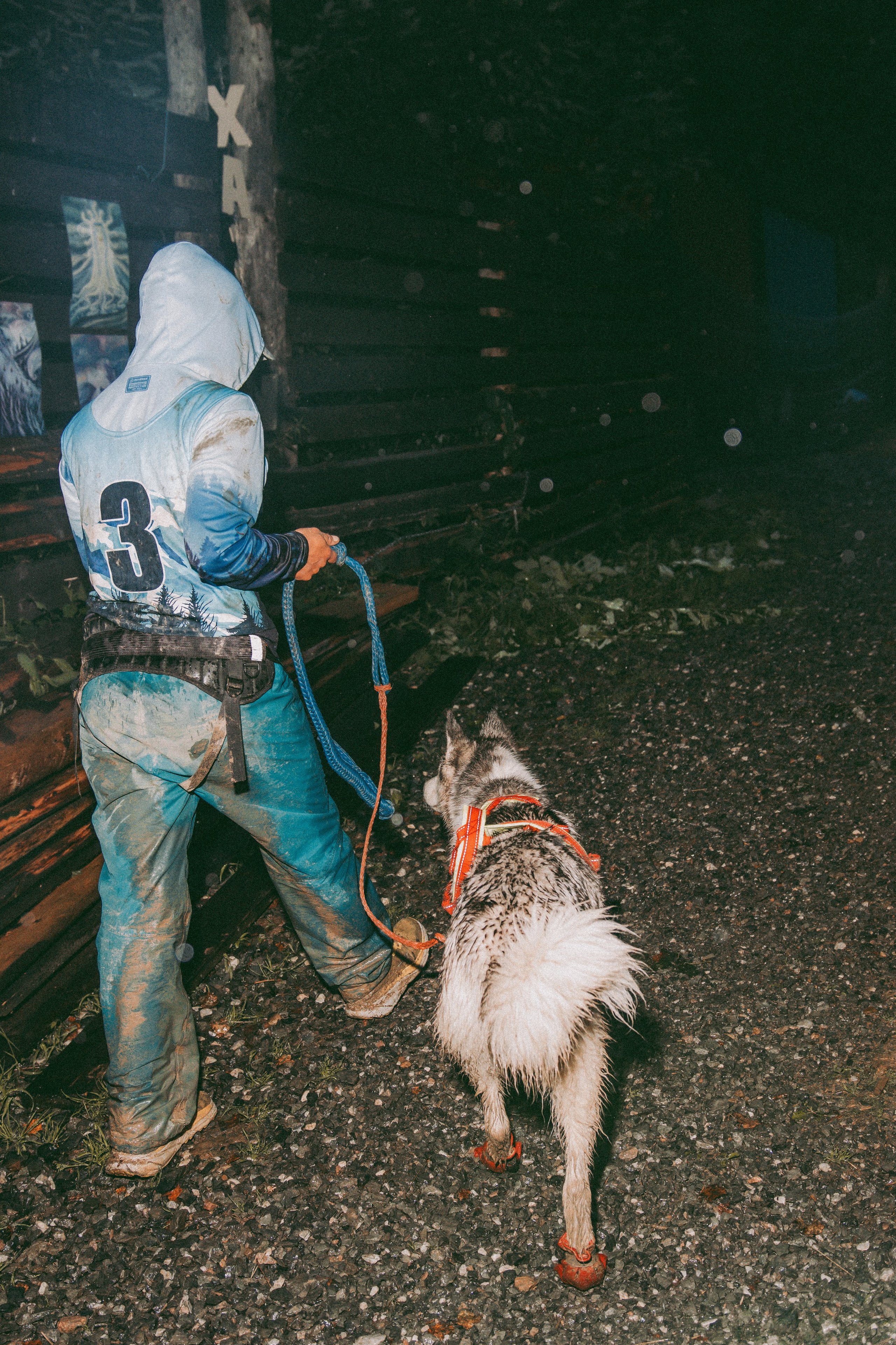 Дог-треккинг