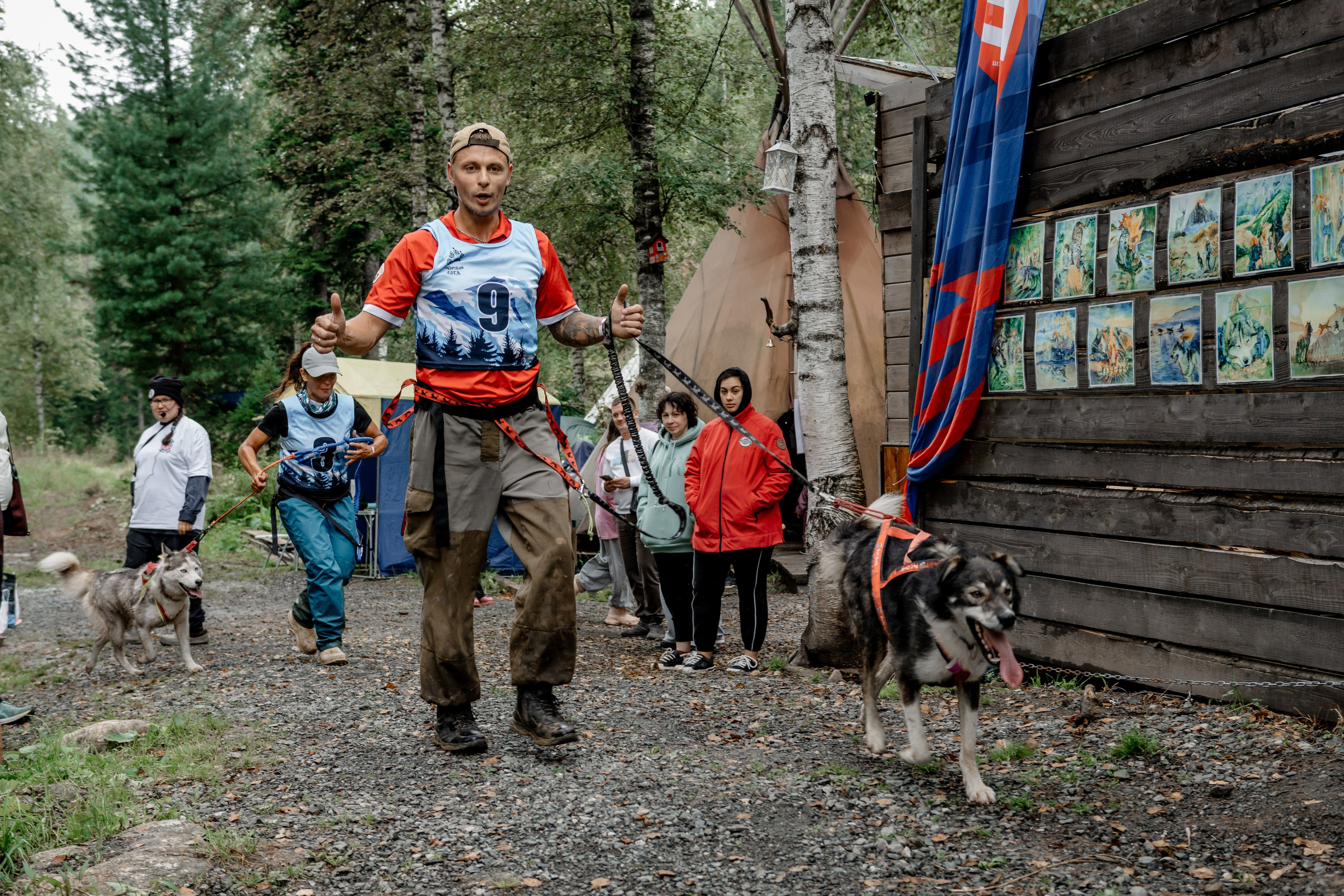 Дог-треккинг