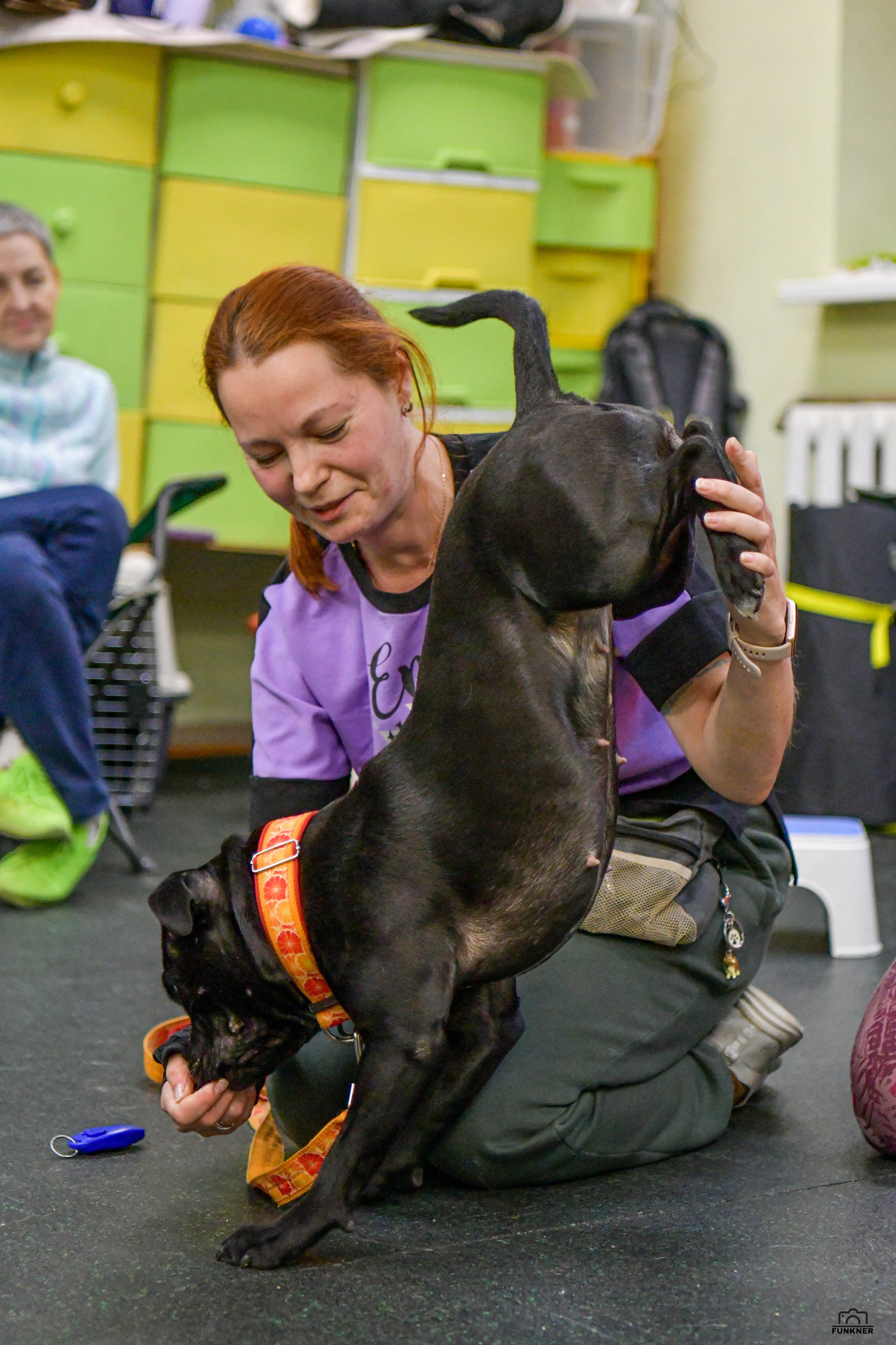 Кинологический клуб «Бодрый хвост». Свой взгляд через объектив