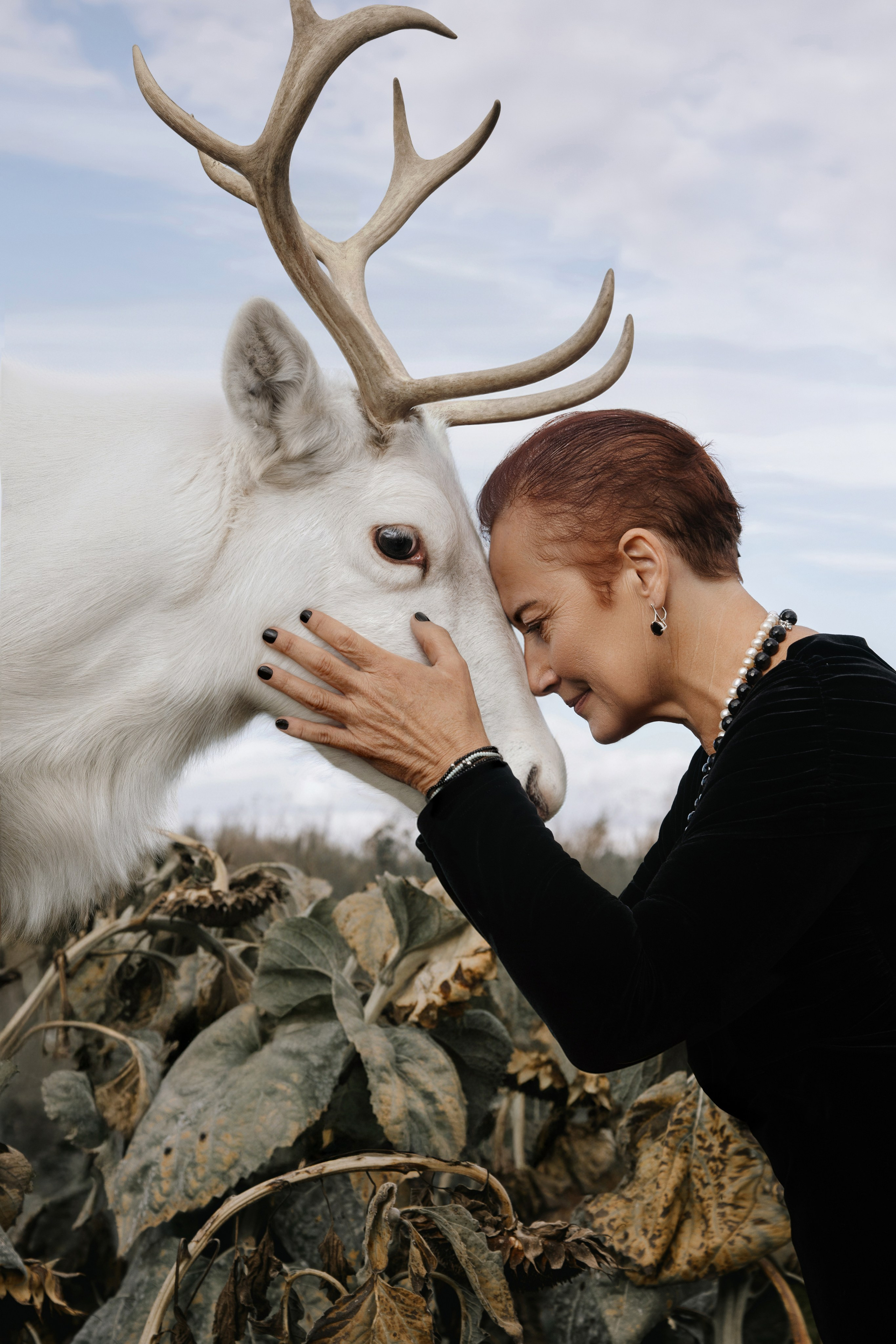 Подсолнухи. Арт фотограф в Белграде Парфенова Екатерина