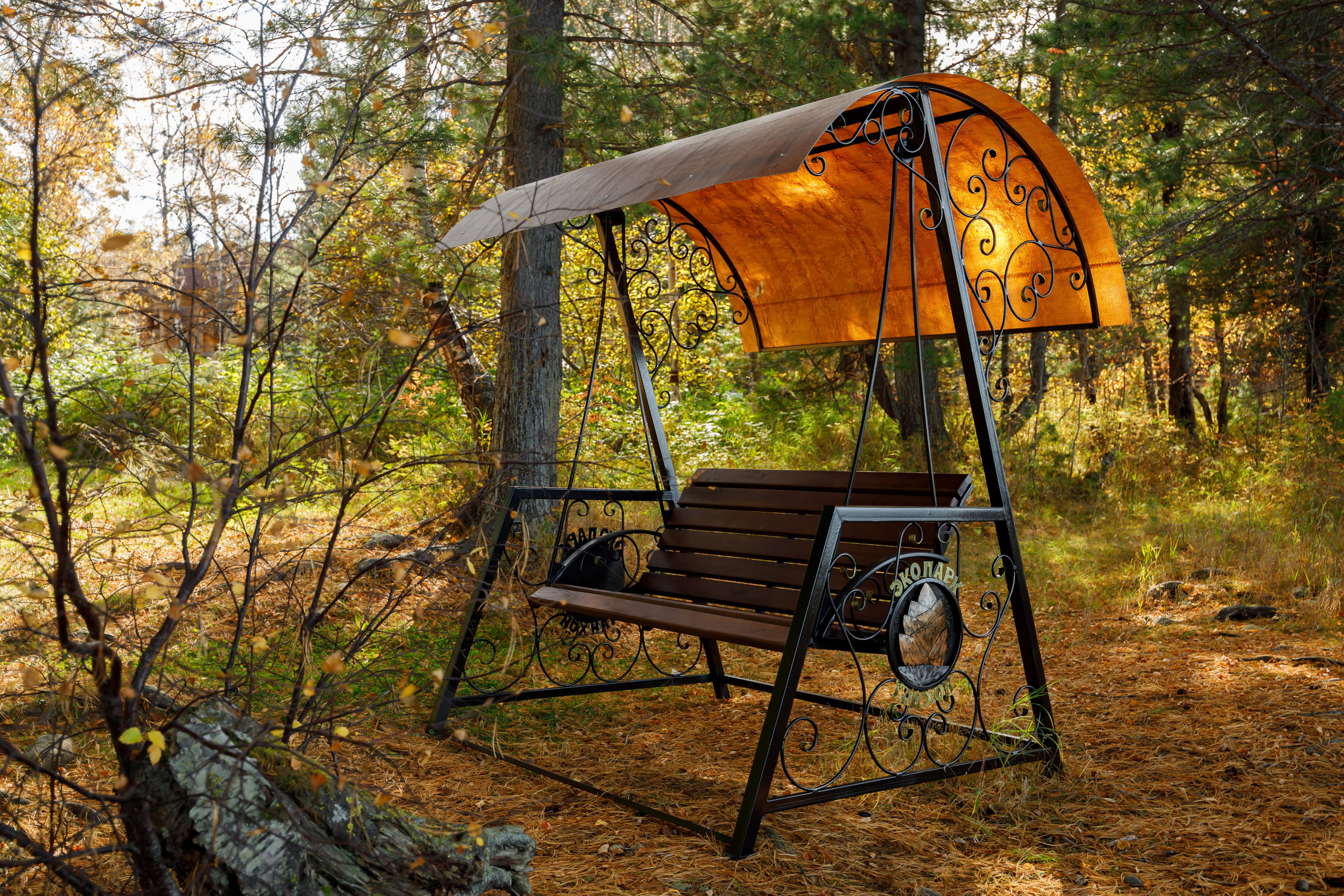 Эко — парк «Танхой». Осенняя съемка. Интерьерный, предметный и контент фотограф в Иркутске Наталья Карпова