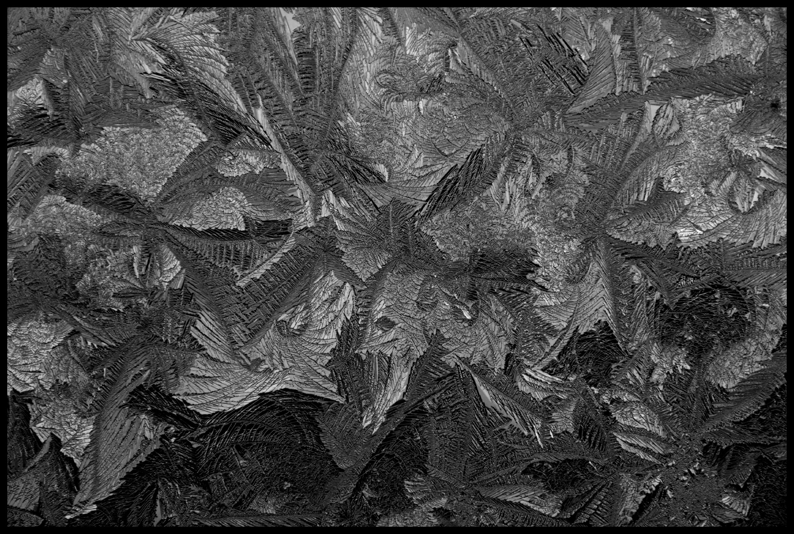 Работы. Свадебный фотограф в Москве Сафонова Анна