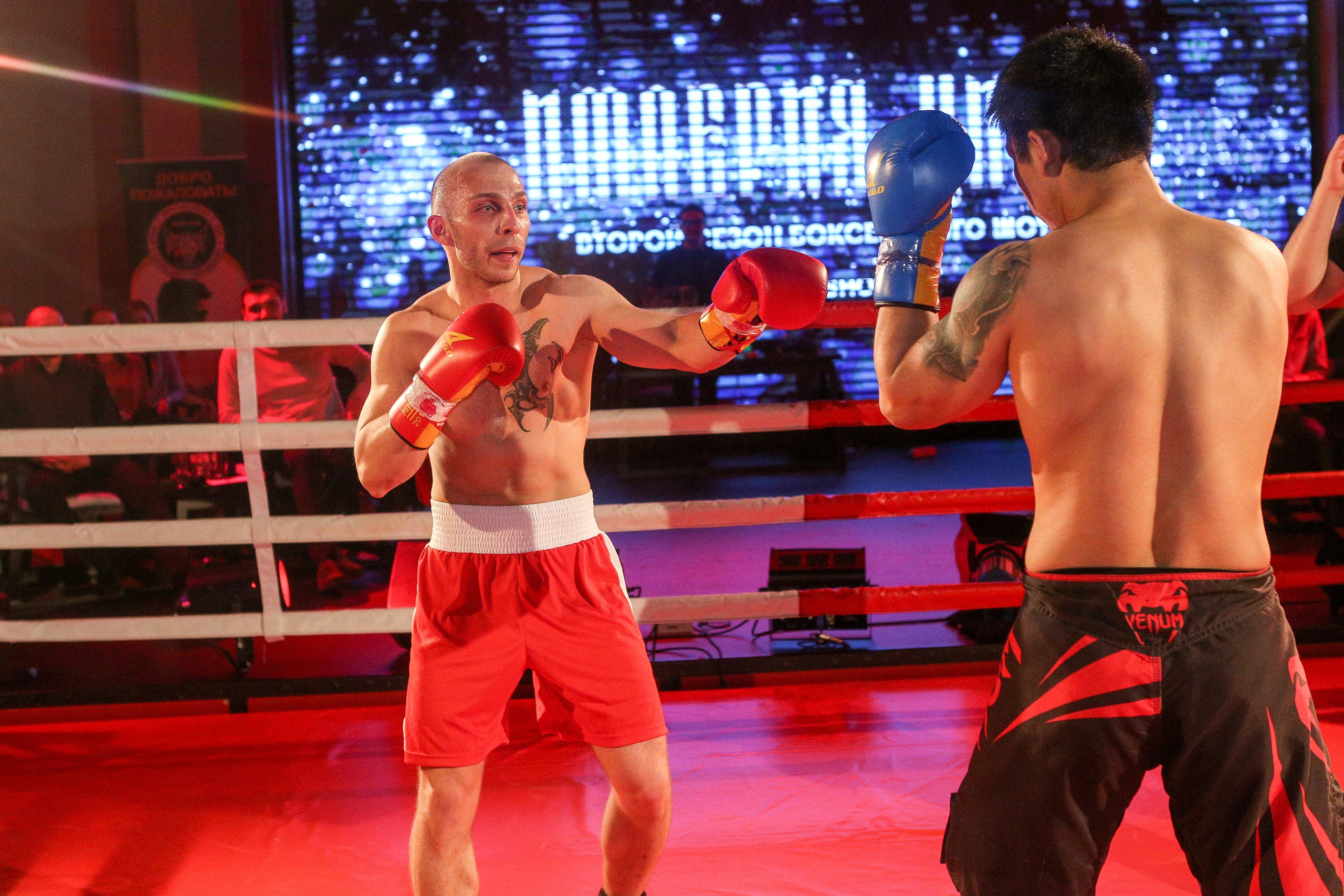 БОКС Империя Цынь, турнир первый. Фотограф Александр Заломаев