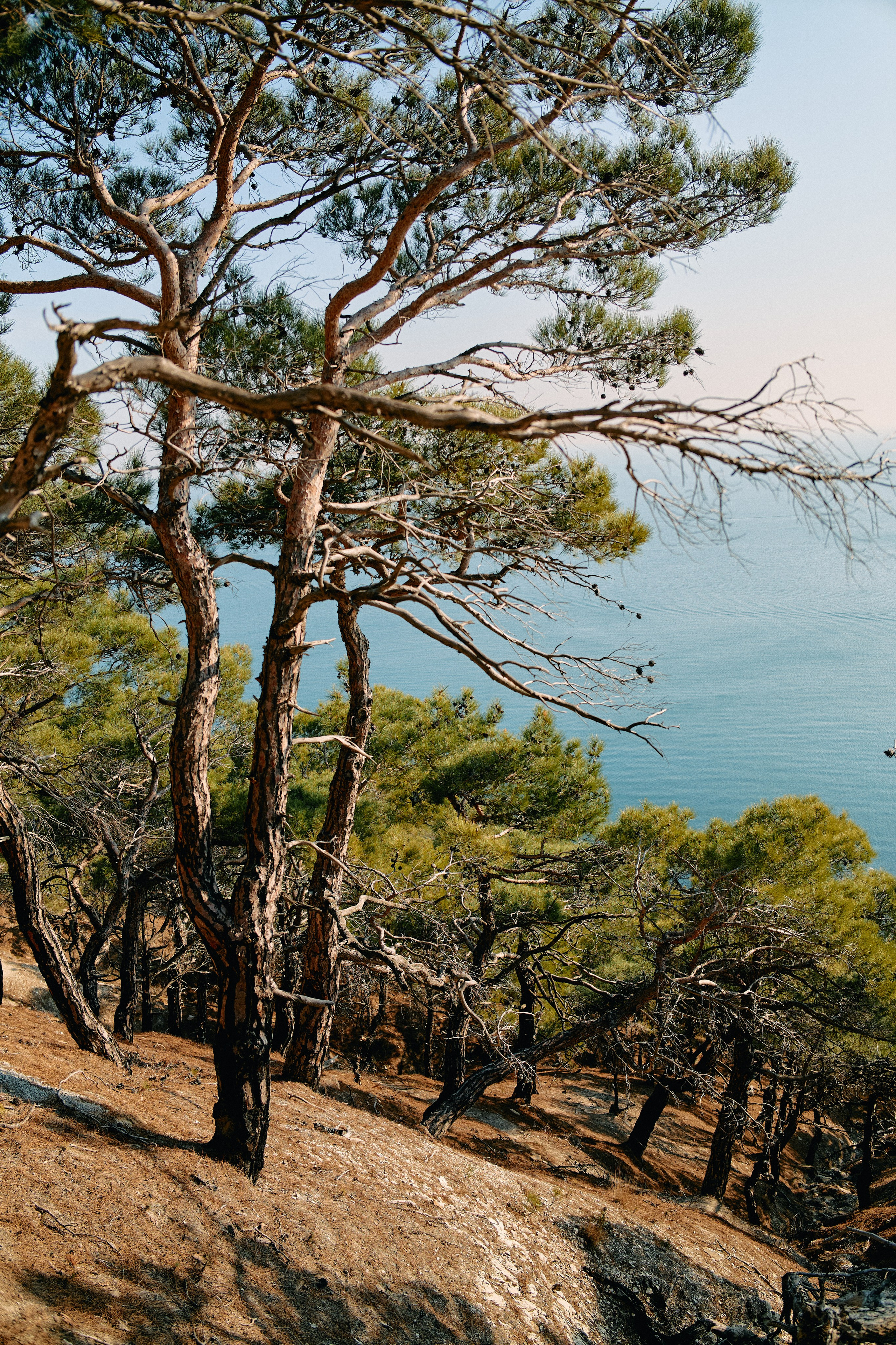 Юг России. Профессиональный Фотограф во Владимире, в Москве и в Суздале — Полина Романычева