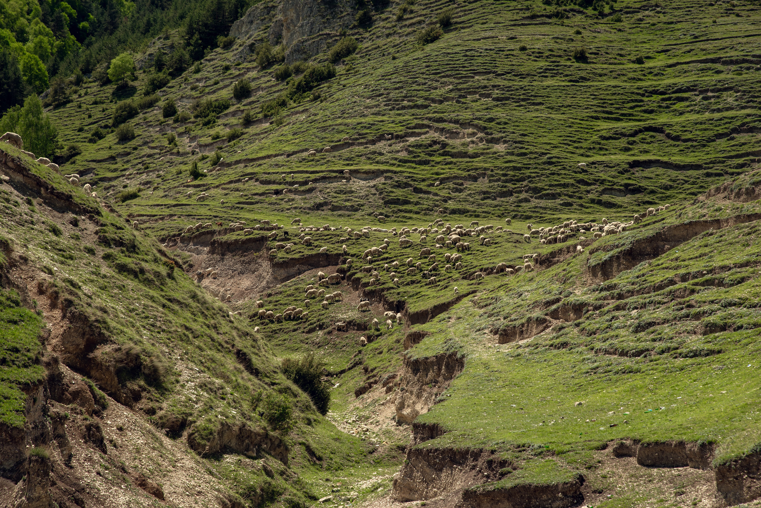 Дагестан. Фотограф Крещение Венчание Москва