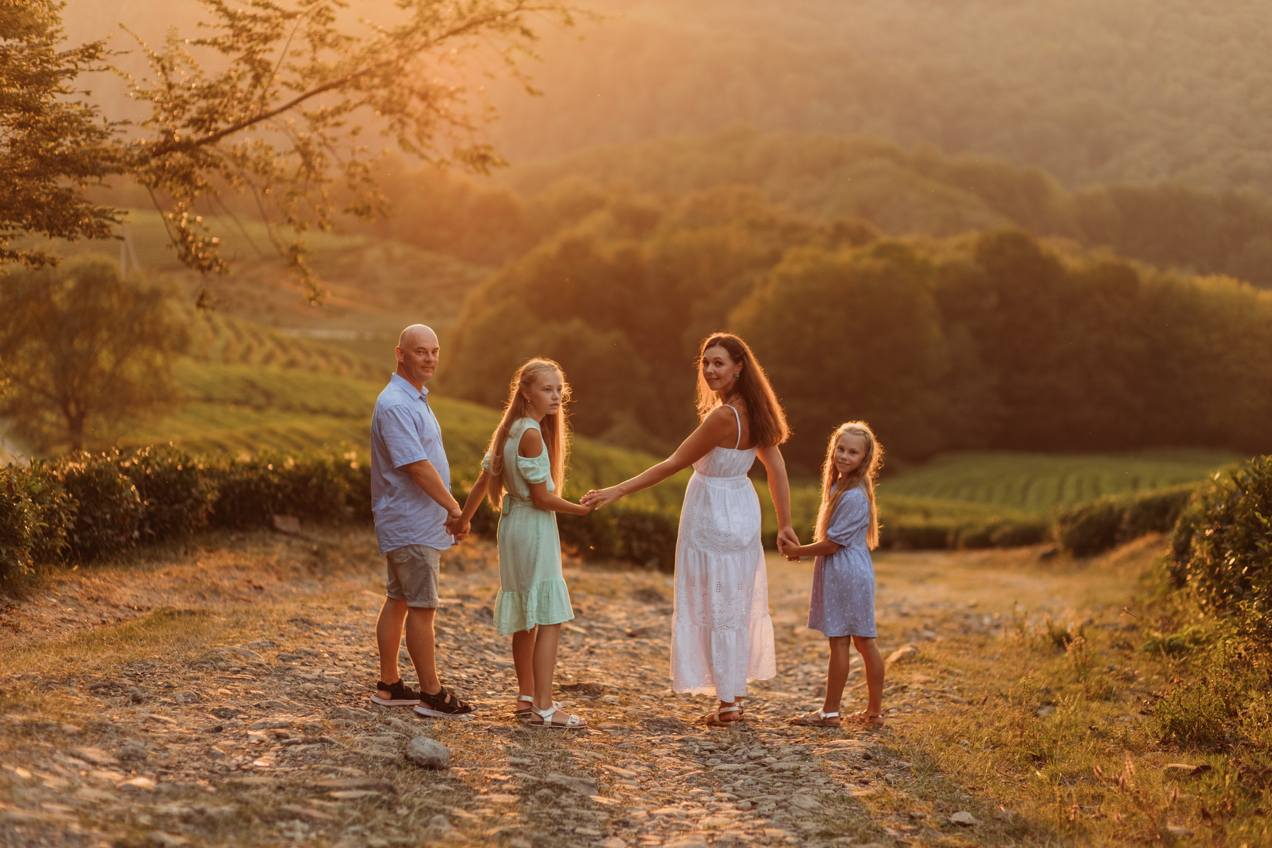 Чайные плантации мацеста. Фотограф Сочи Татьяна Зорина