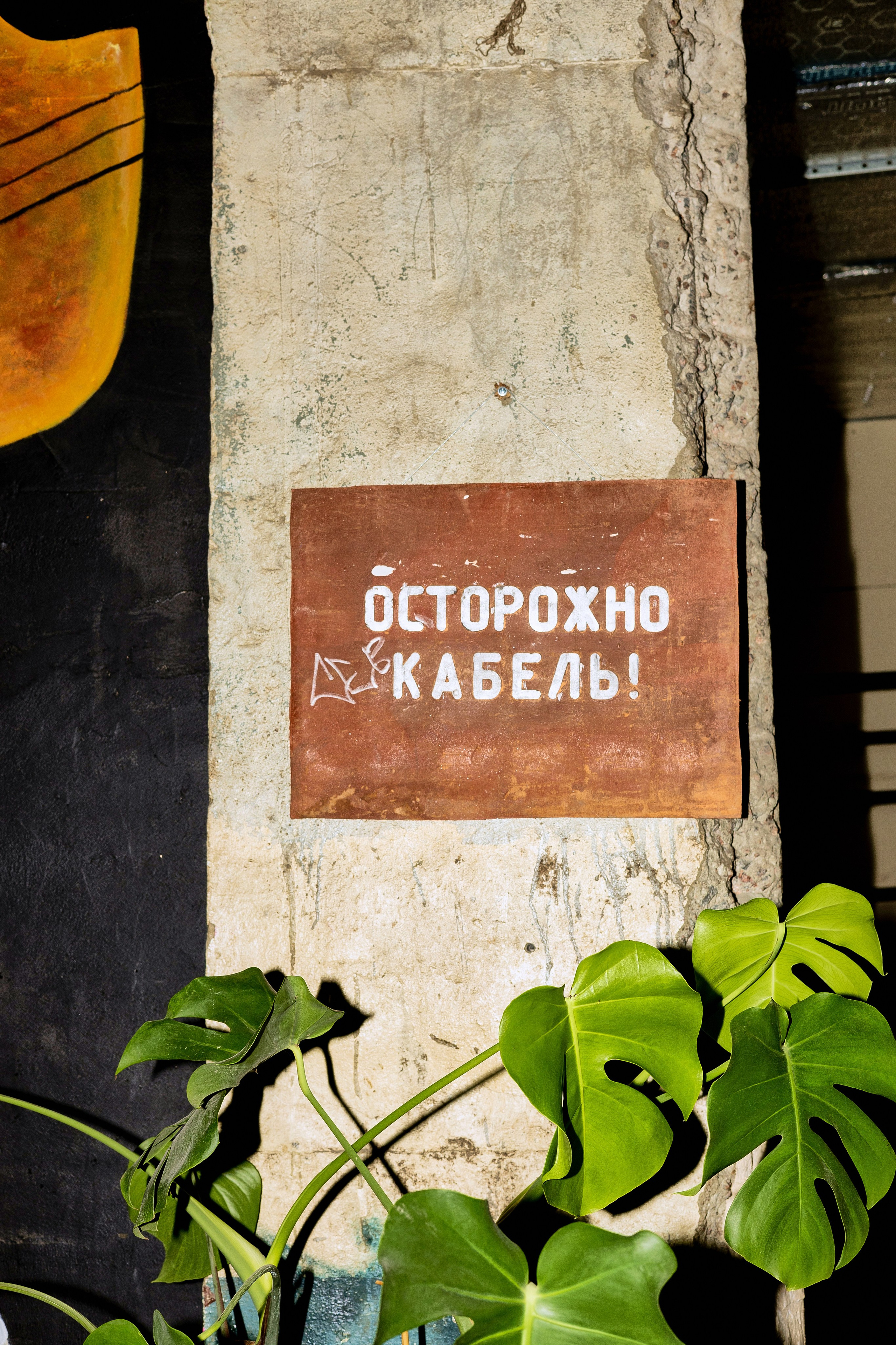 Ритмы. VICTORIA SHU