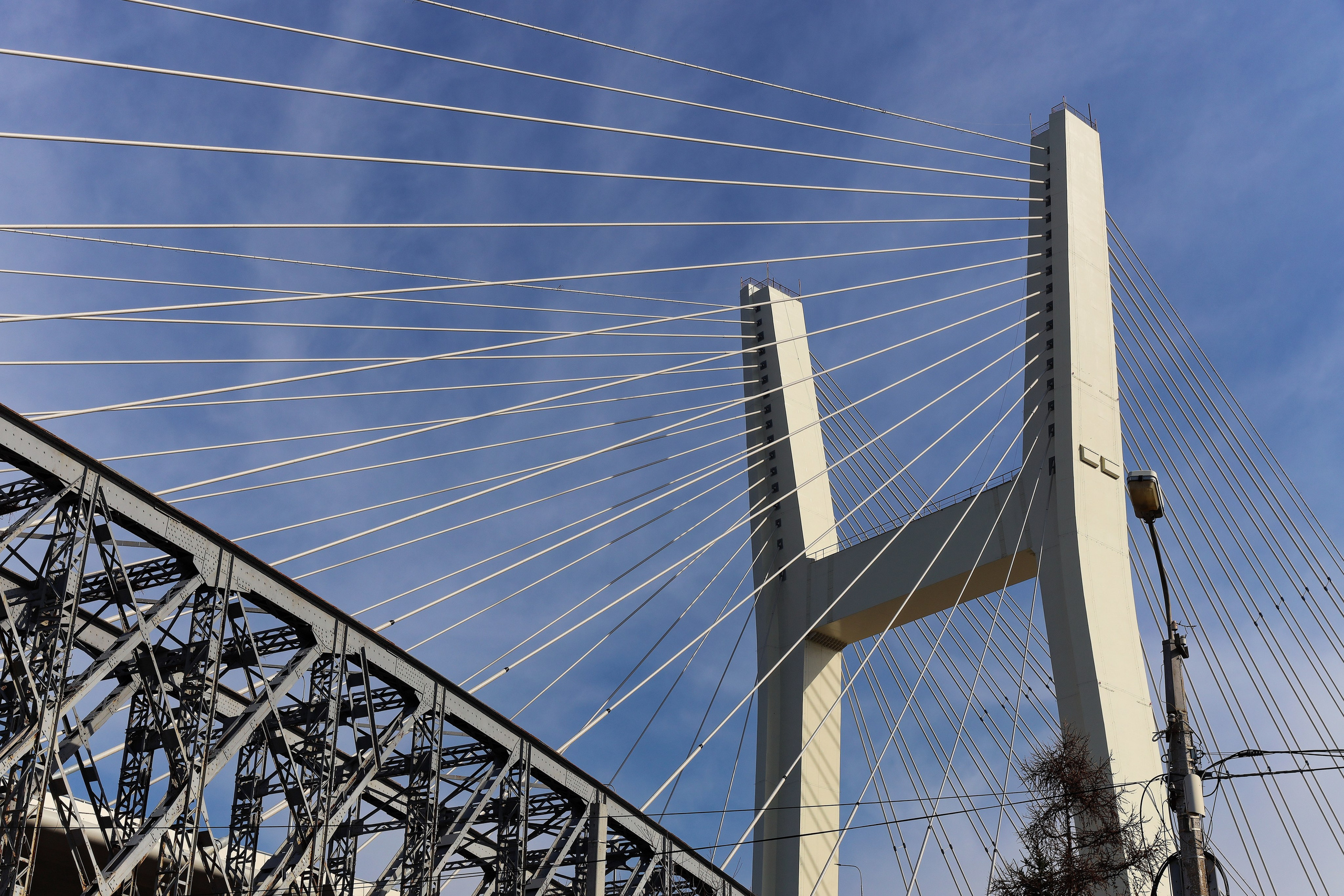 25.04.2026 Забег 5Вёрст. Клуб путешествий HimalTrex Горные туры в Гималаи Непал