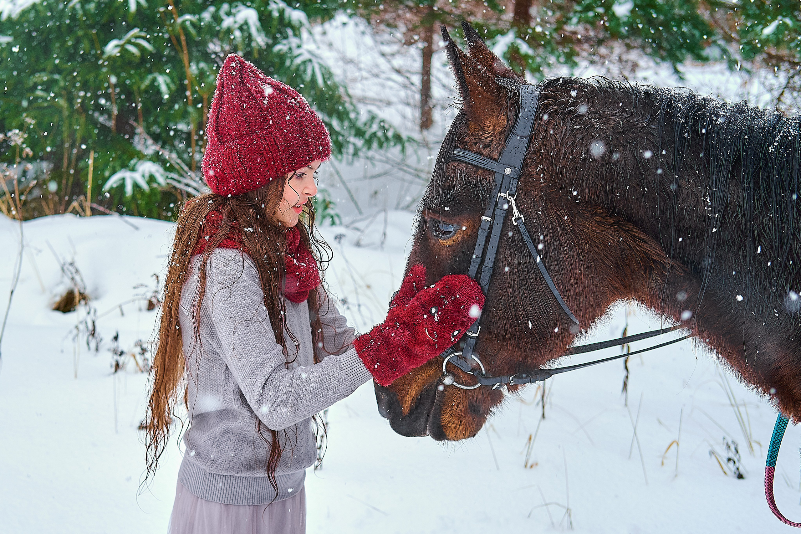 С лошадьми. Семейный и портретный фотограф в Новомосковске и Узловой Михеева Татьяна