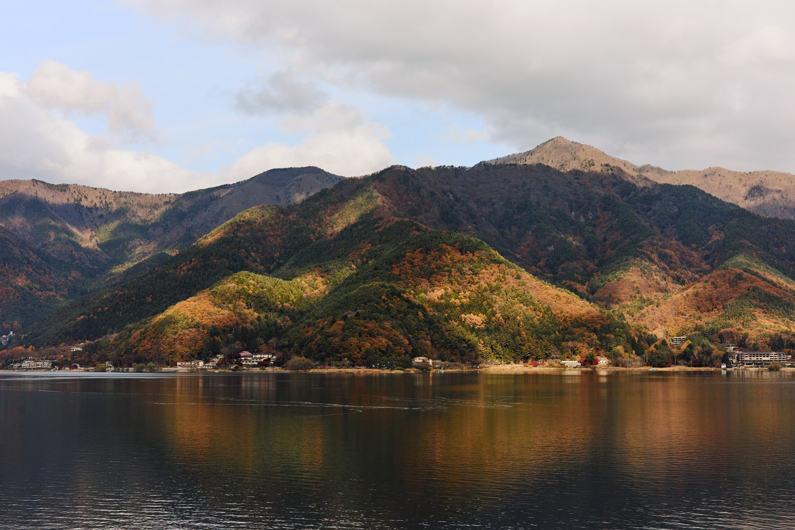 Япония. Профессиональный Фотограф во Владимире, в Москве и в Суздале — Полина Романычева