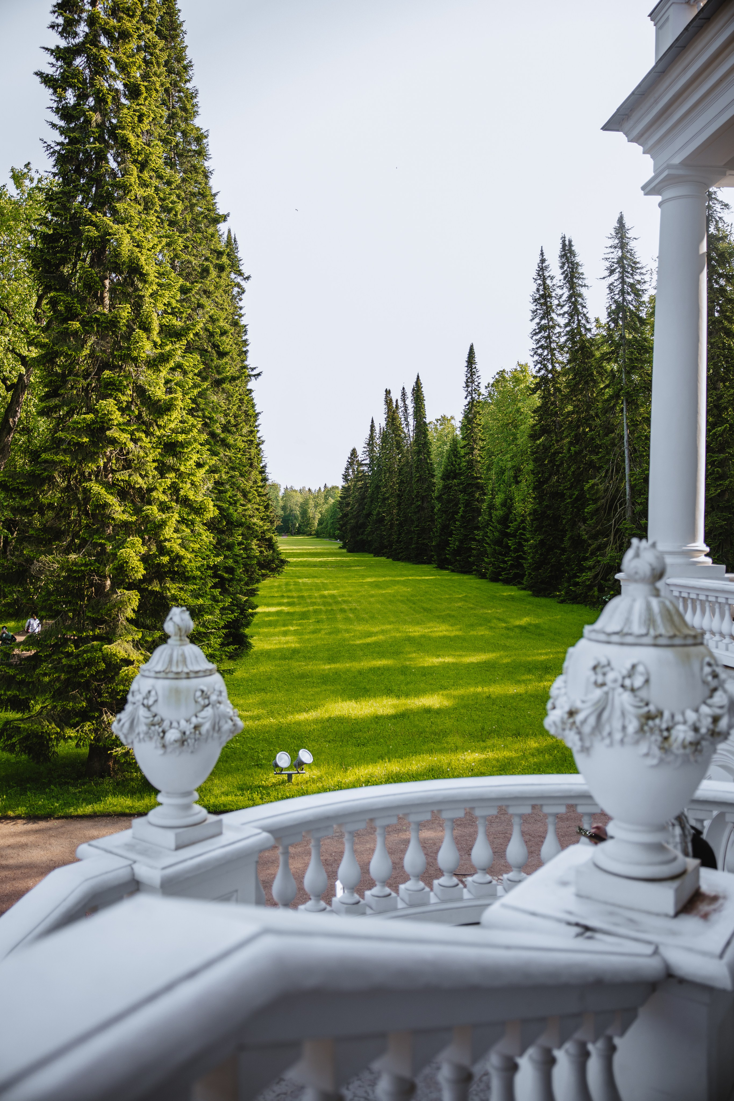 Вероника Даниил. Фотограф Алиса Субботина