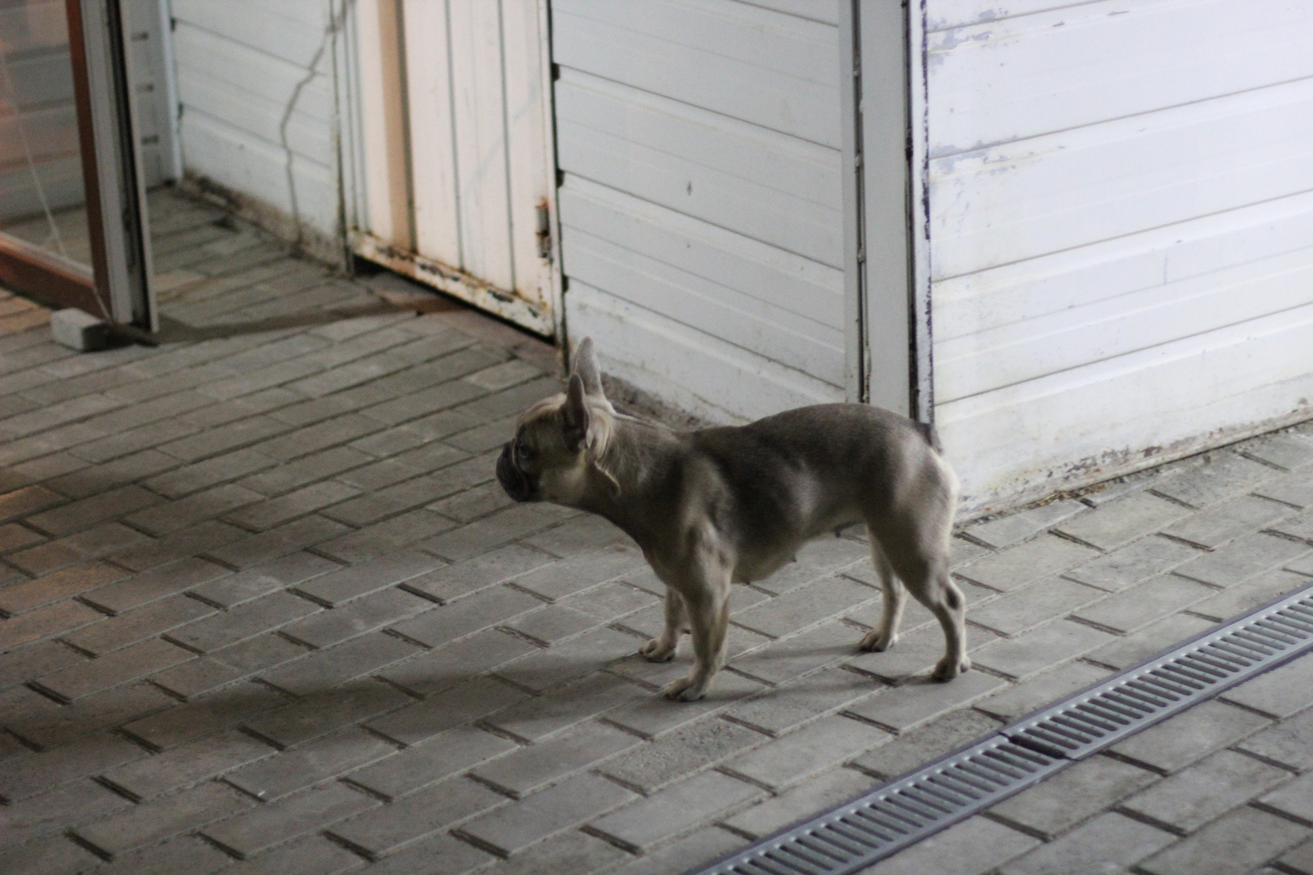 Горячий Ключ (2024-09-22). Собор Отрасли