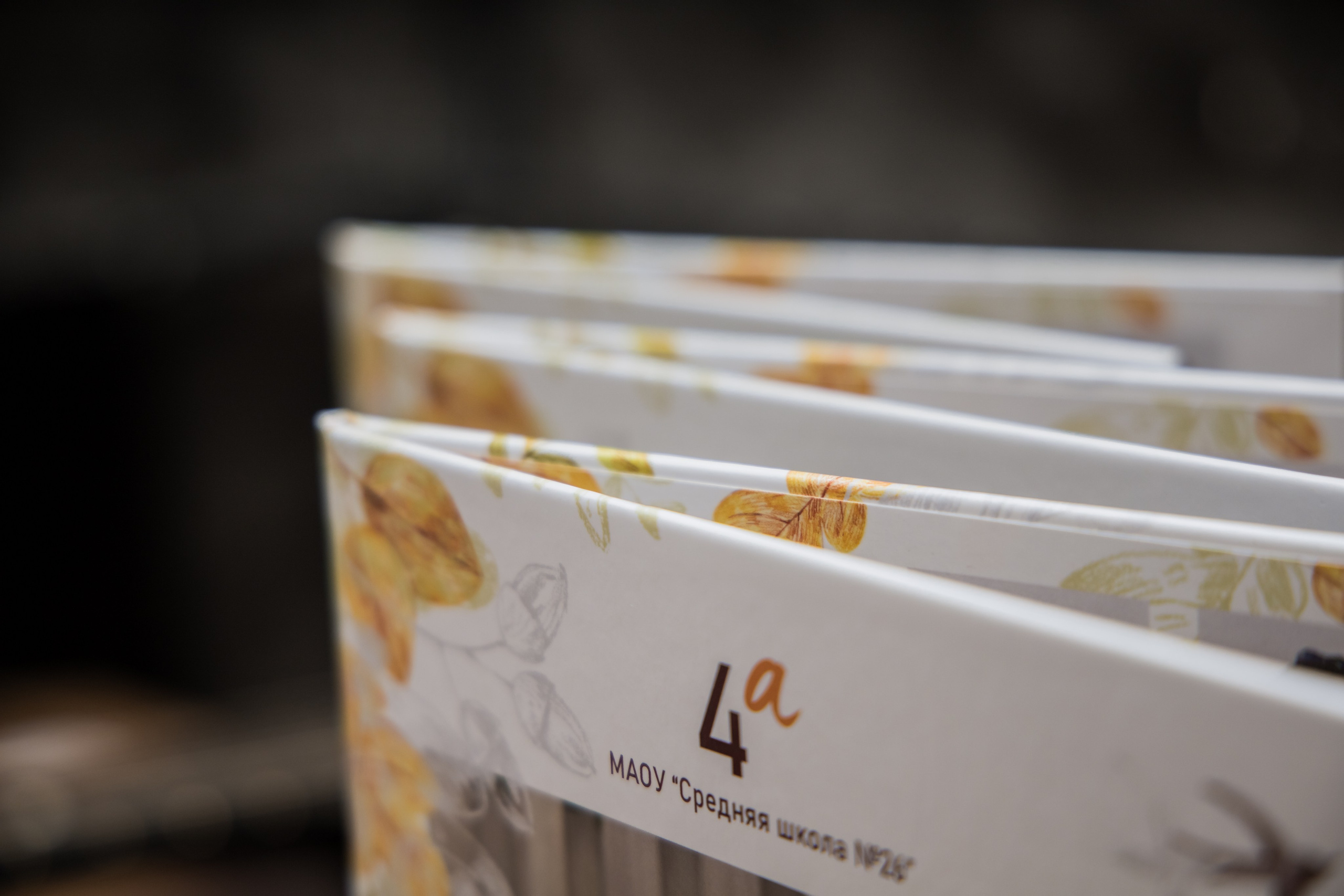 Обзор выпускных фотоальбомов