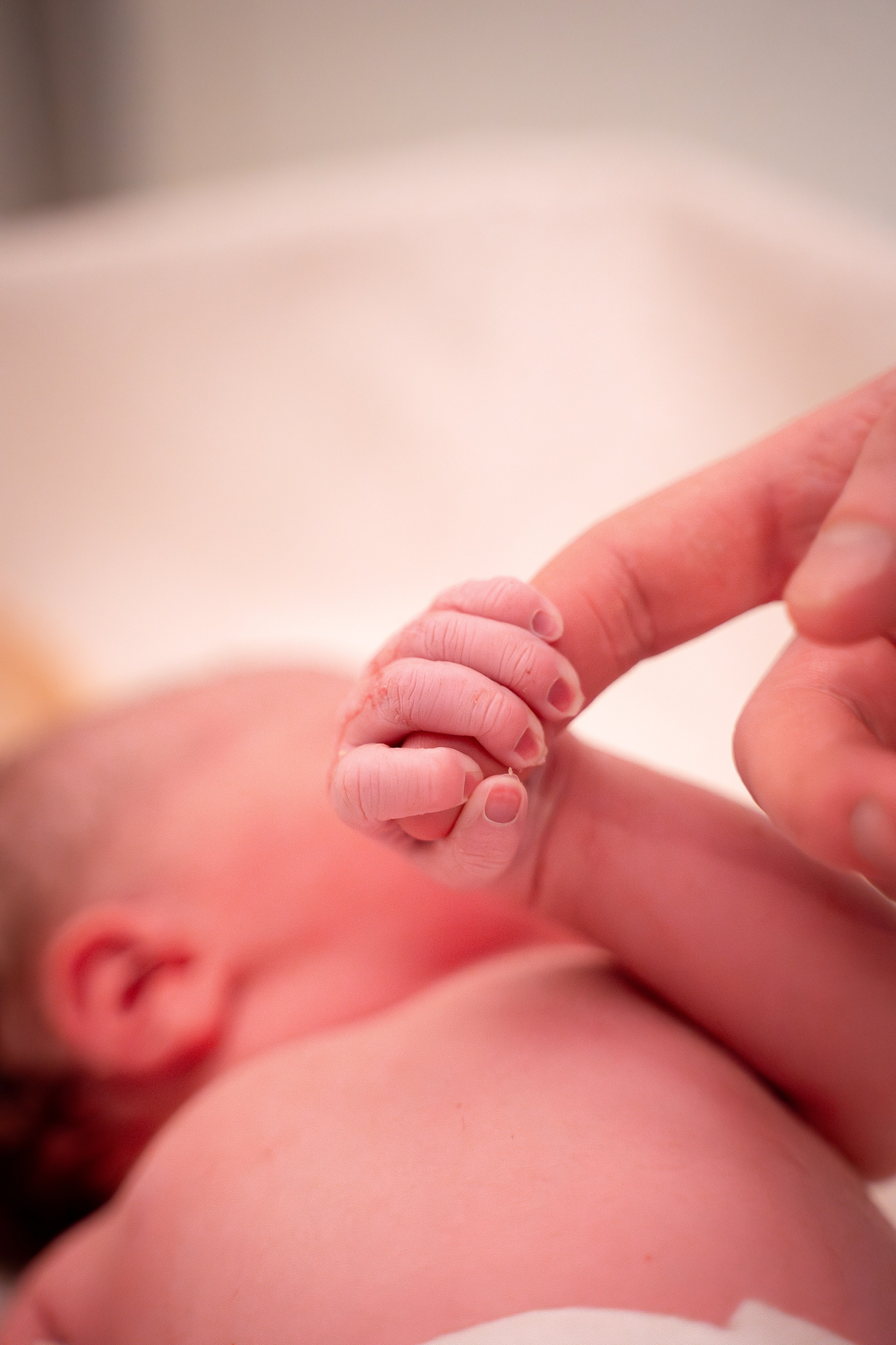 Агата. Фотограф на роды Москва Ольга Летучева